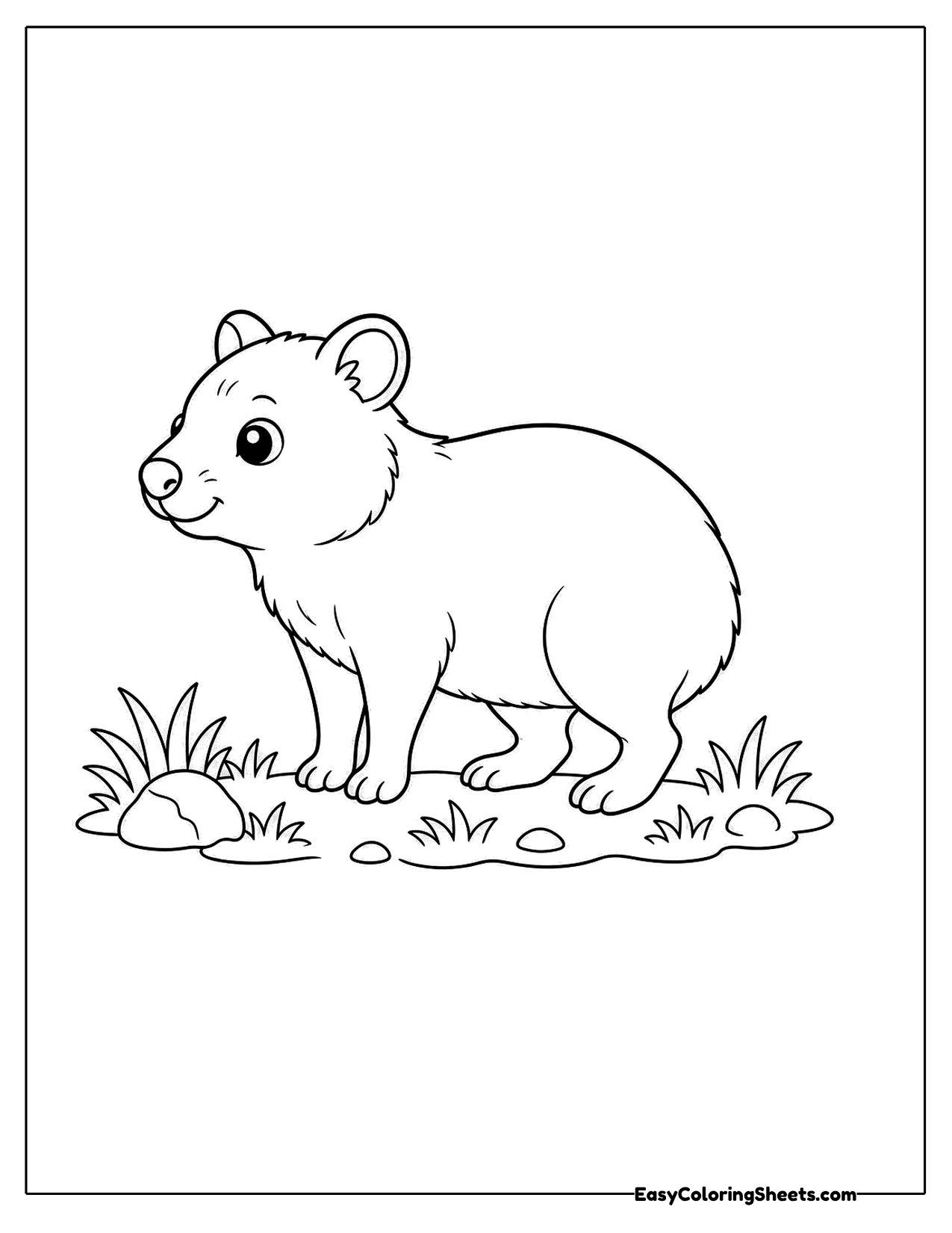 Quokka walking through the grass