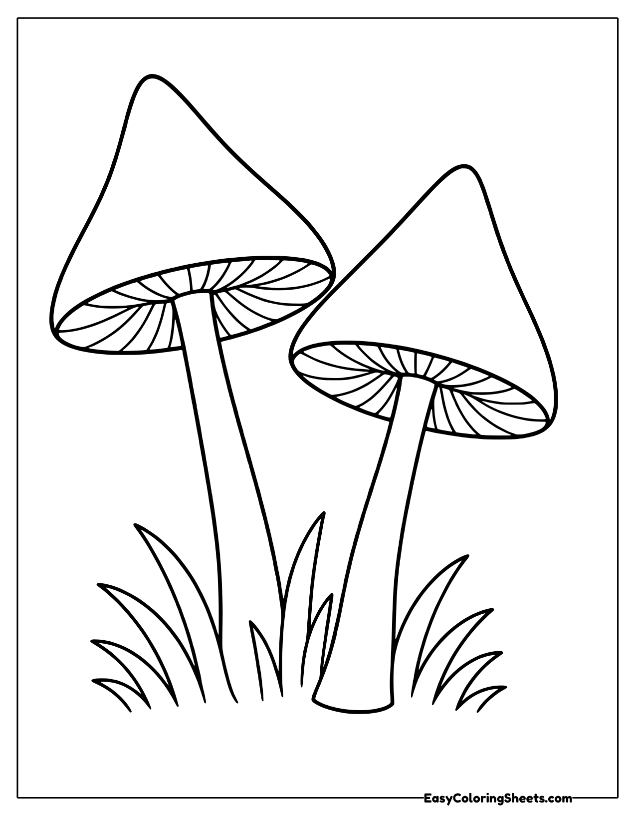 Two tall mushrooms leaning together