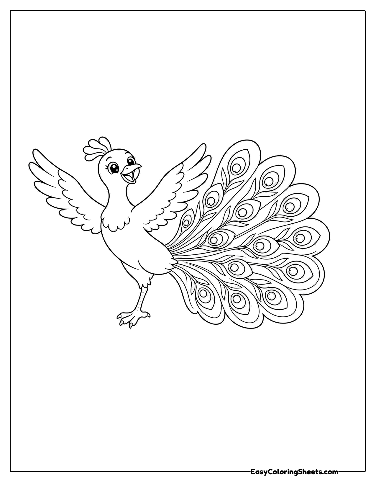 Peacock dancing with wings open