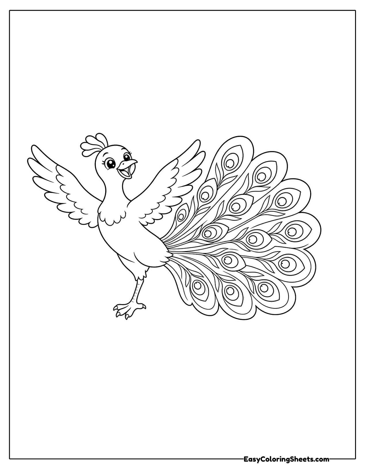 Peacock dancing with wings open