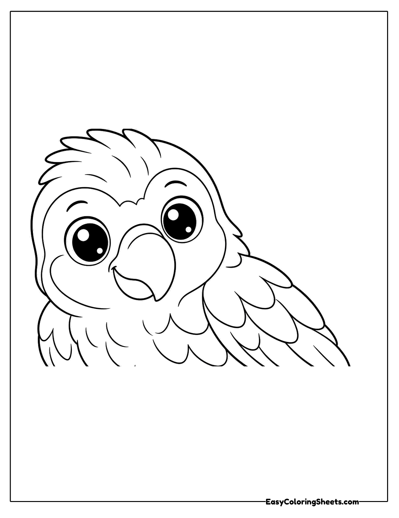 Parrot face close up