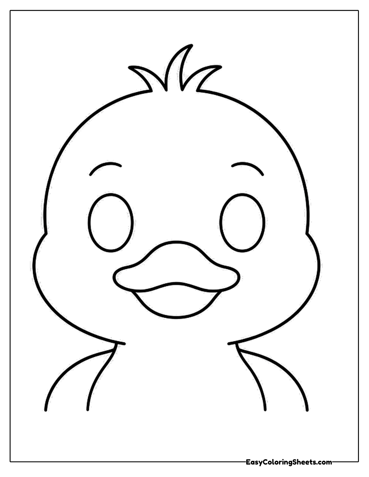 Duck face with a wide bill close up