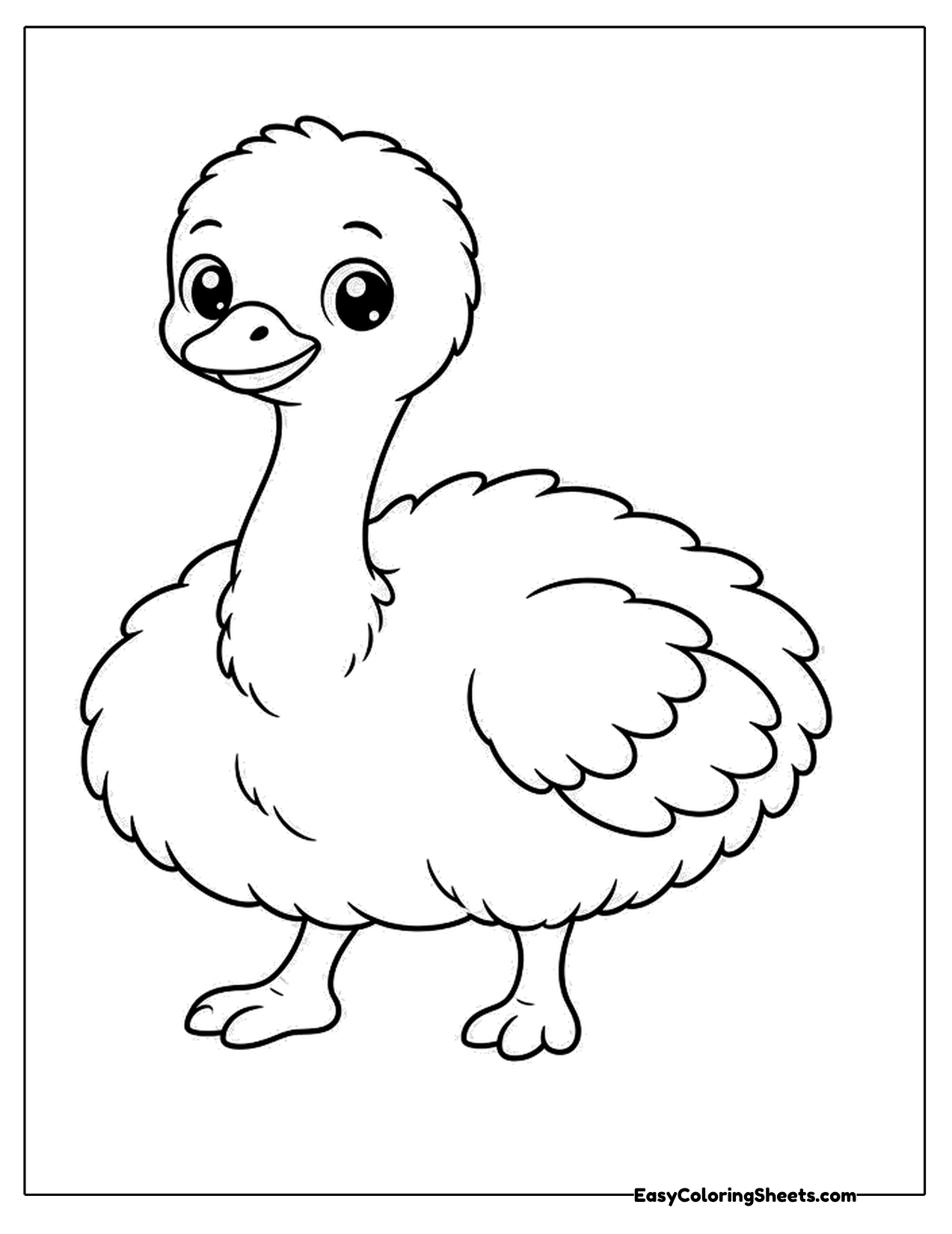 Fluffy baby ostrich chick standing