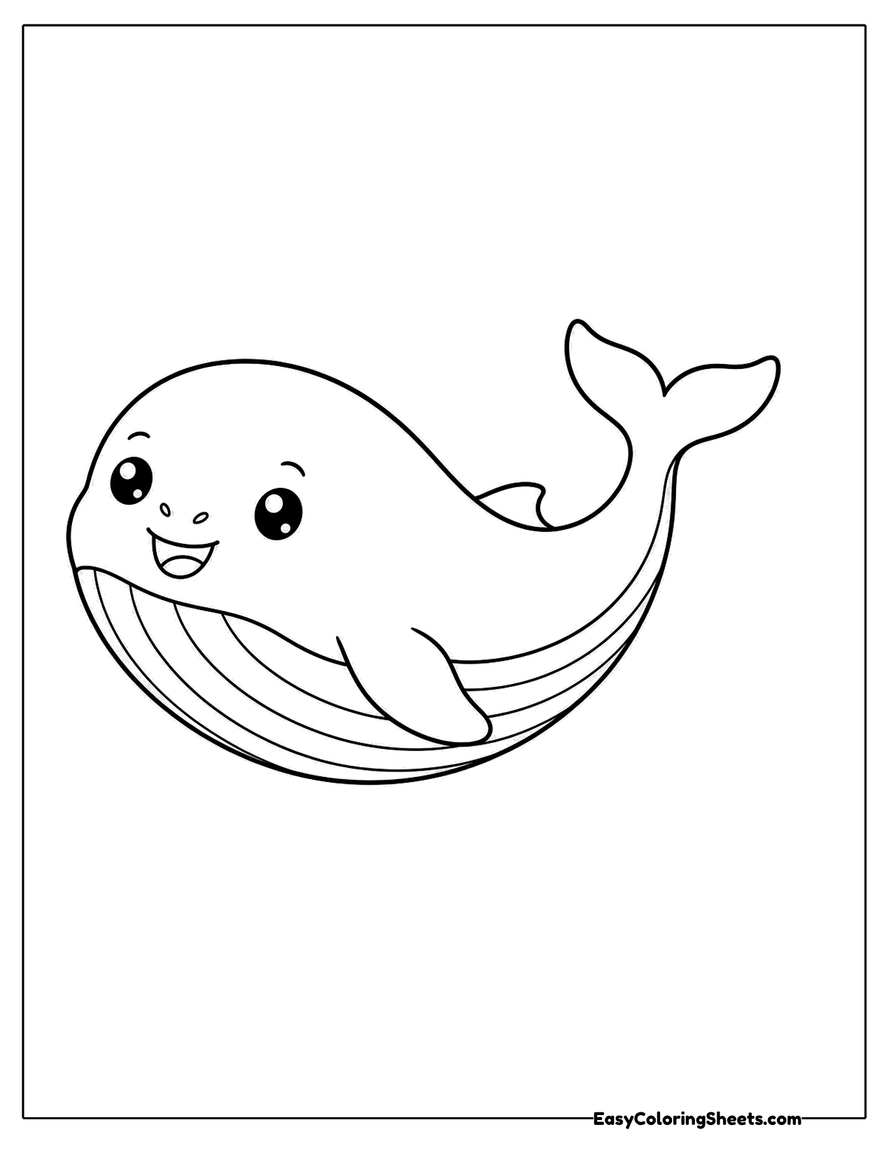 Whale with a striped belly