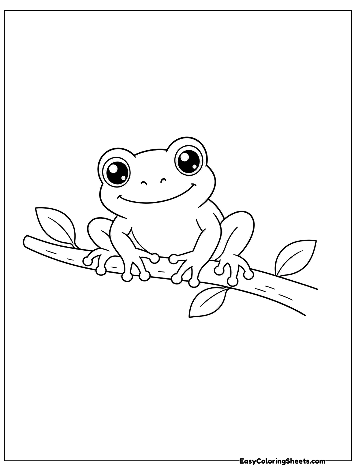 A little frog grips a slender branch with round sticky toe pads, a trait that helps tree frogs climb leaves and bark.