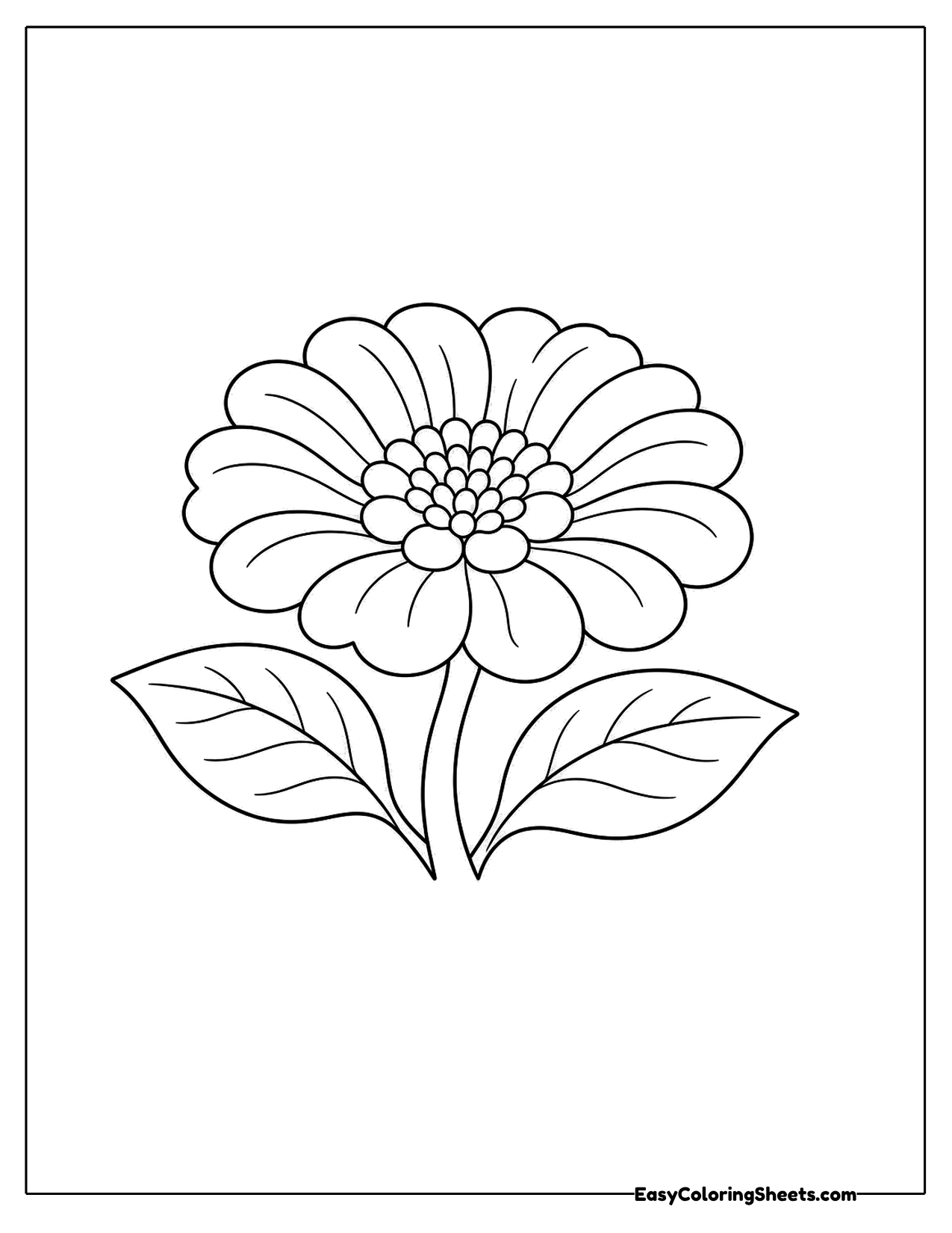 Zinnia flower with layered petals and broad leaves
