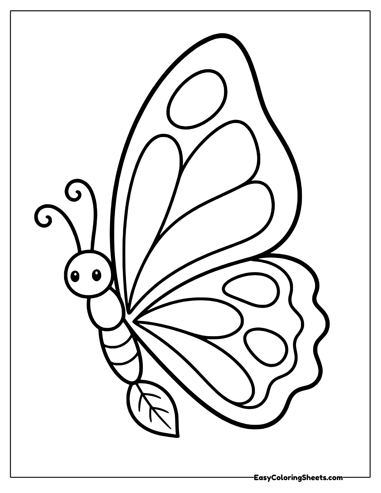 A butterfly with a tall wing shaped like a sail shows big curved panels, a smiling face and a leaf near its tail.