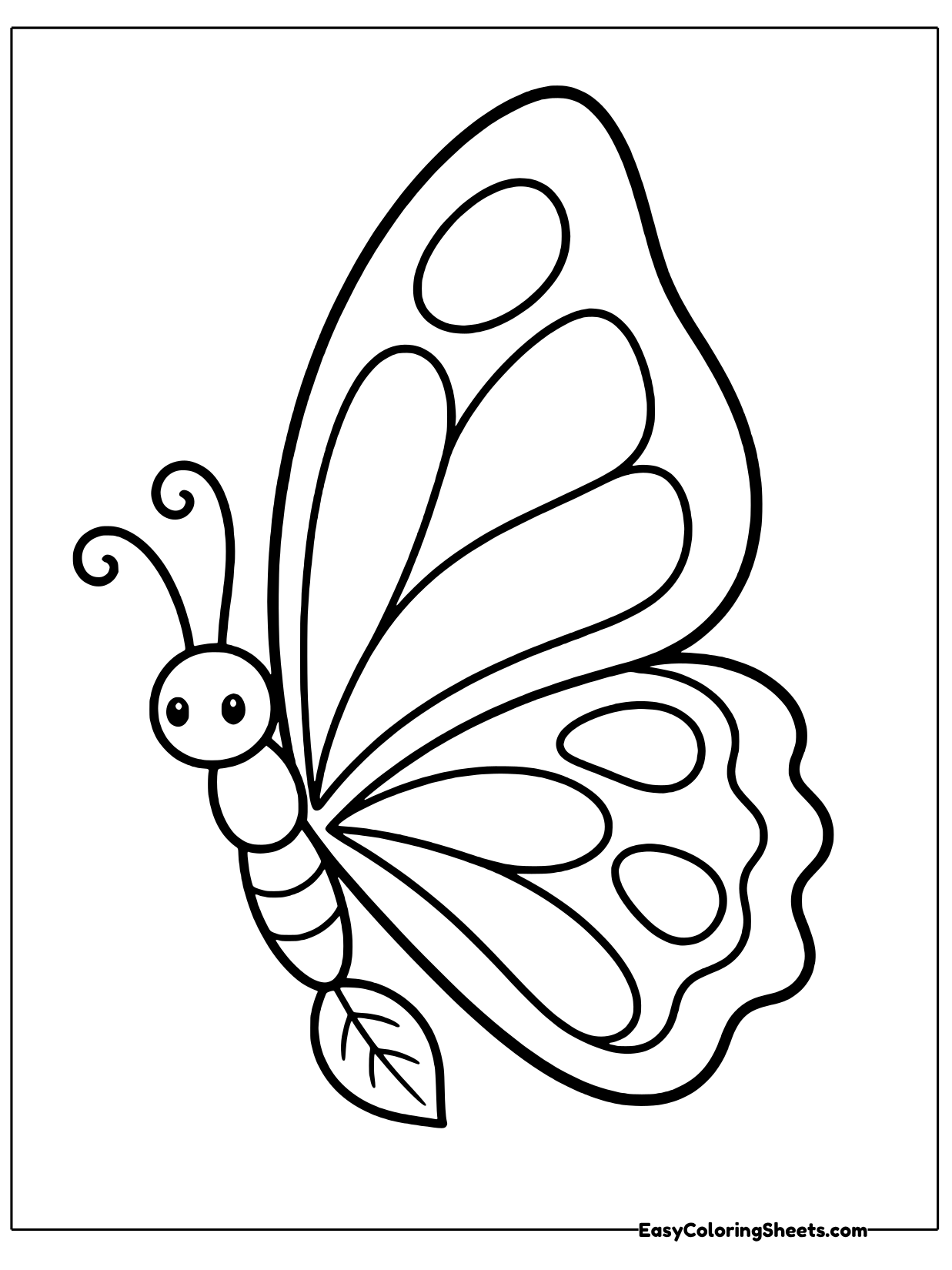 A butterfly with a tall wing shaped like a sail shows big curved panels, a smiling face and a leaf near its tail.