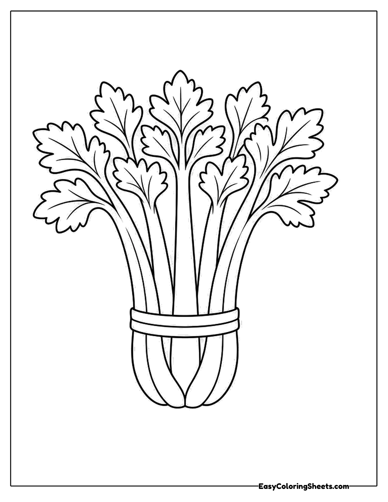 Cute bunch of celery tied at the base