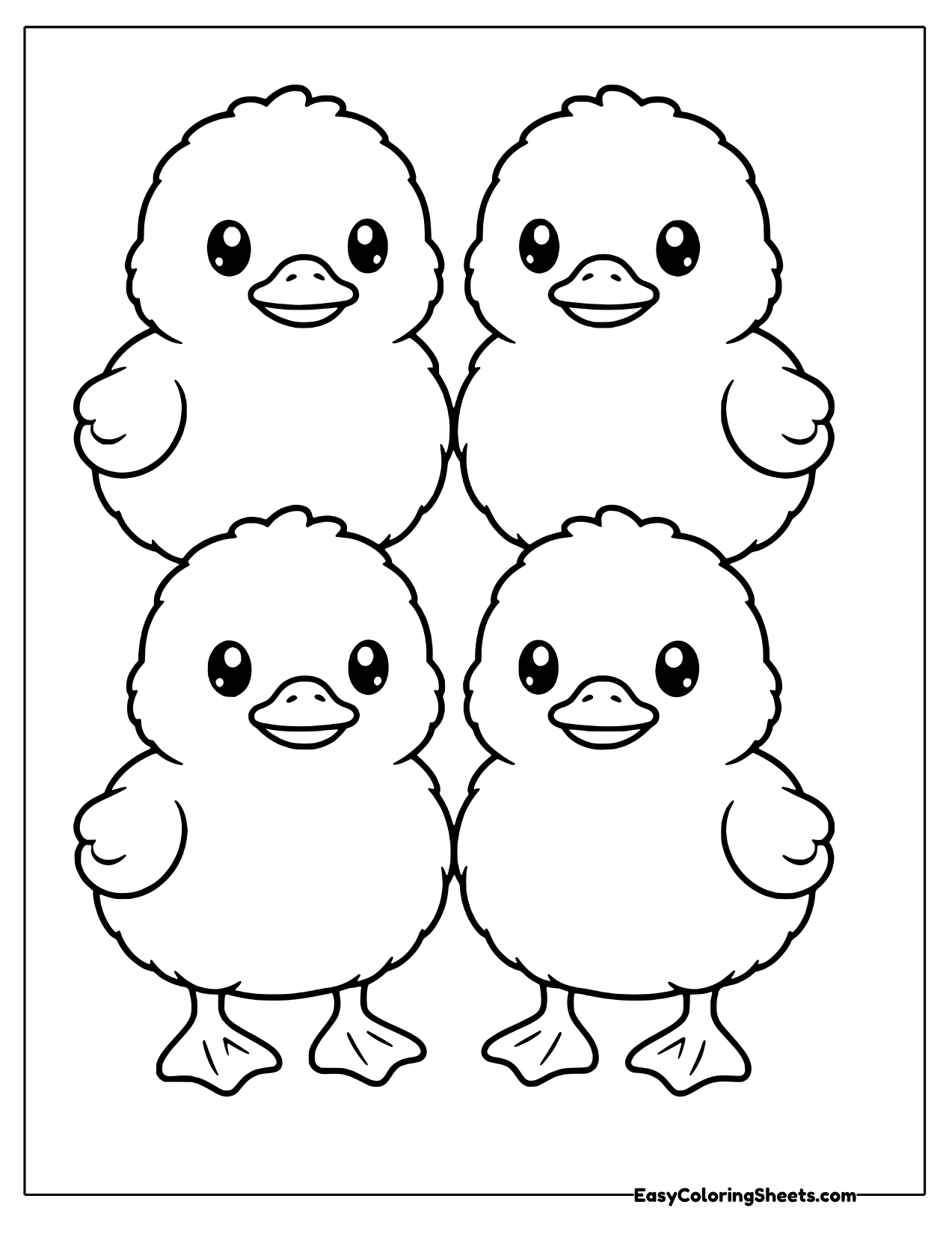 Four ducklings in two rows