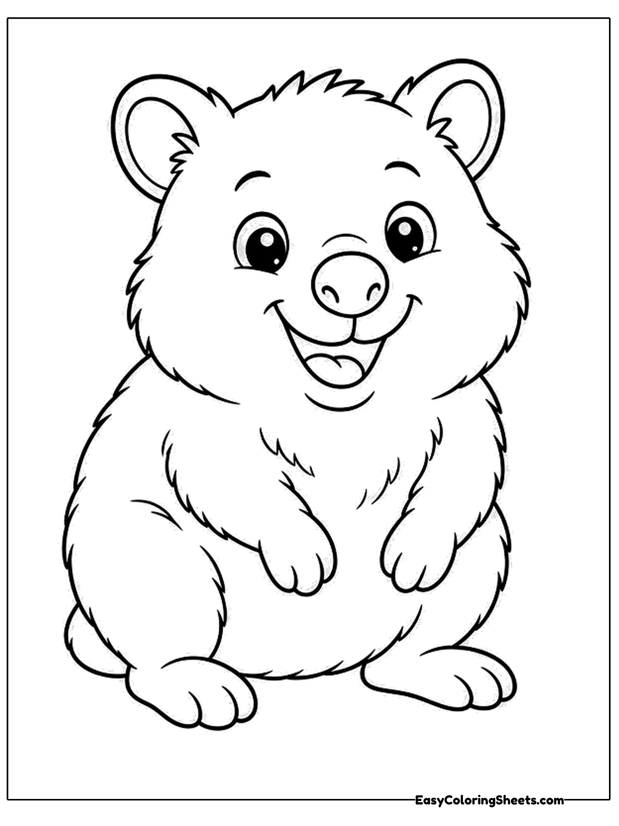 A large fluffy quokka sits up with a huge grin, rounded cheeks and paws folded on its tummy.