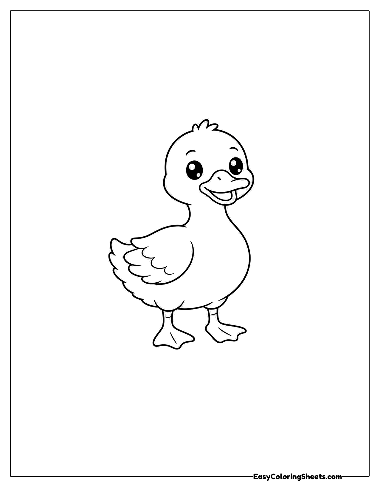 A duck stands upright on its webbed feet with its chest puffed out and a proud face.