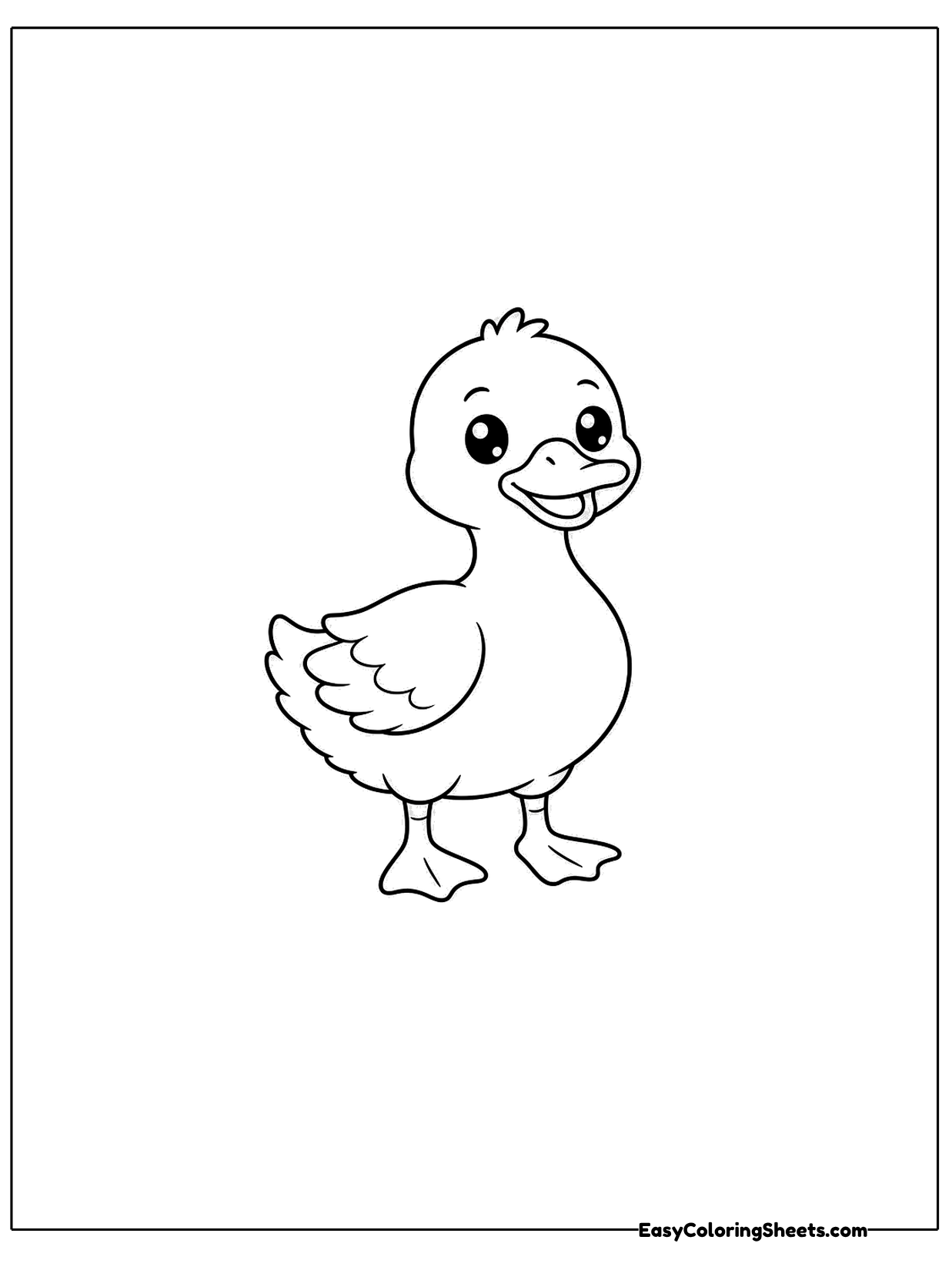 A duck stands upright on its webbed feet with its chest puffed out and a proud face.