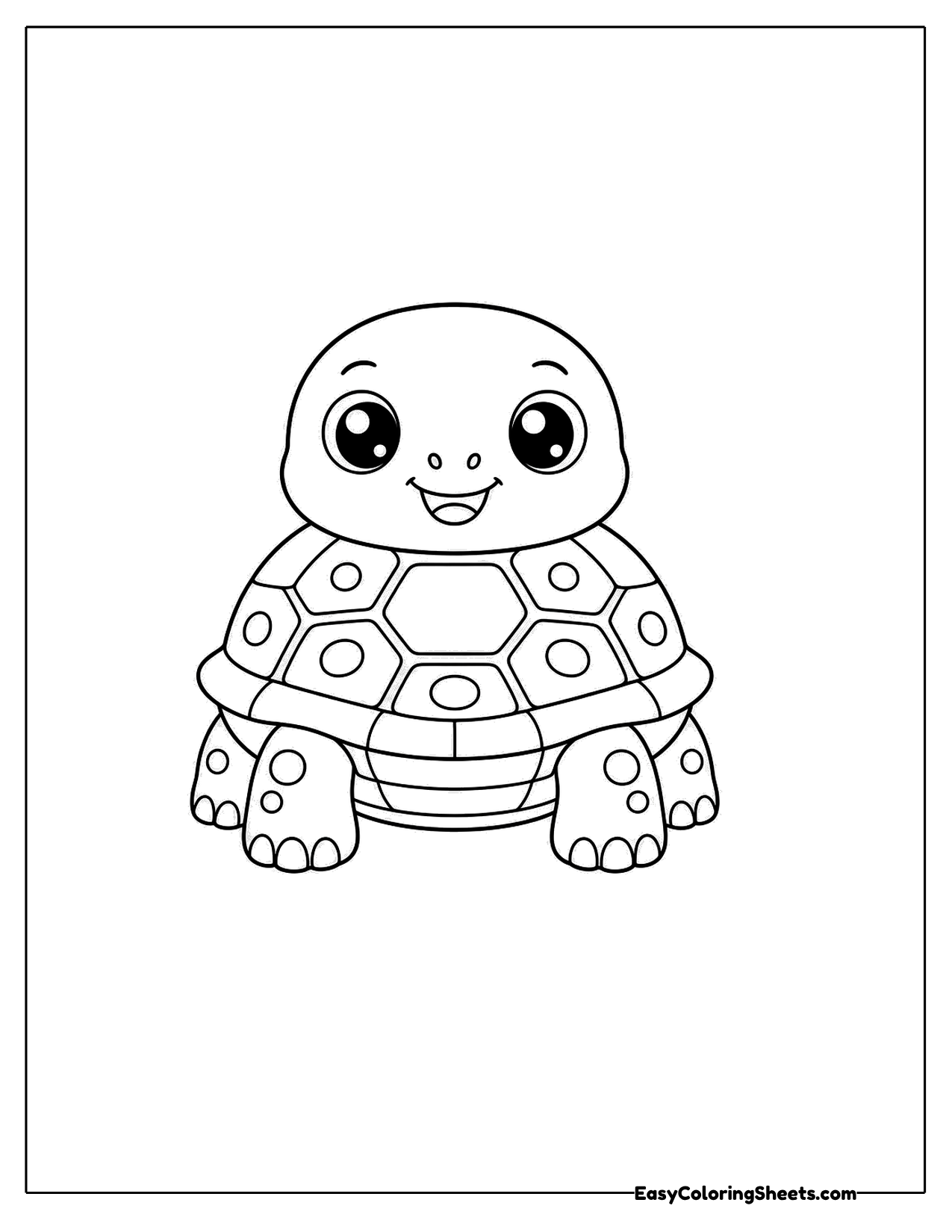 Turtle facing forward with its shell behind