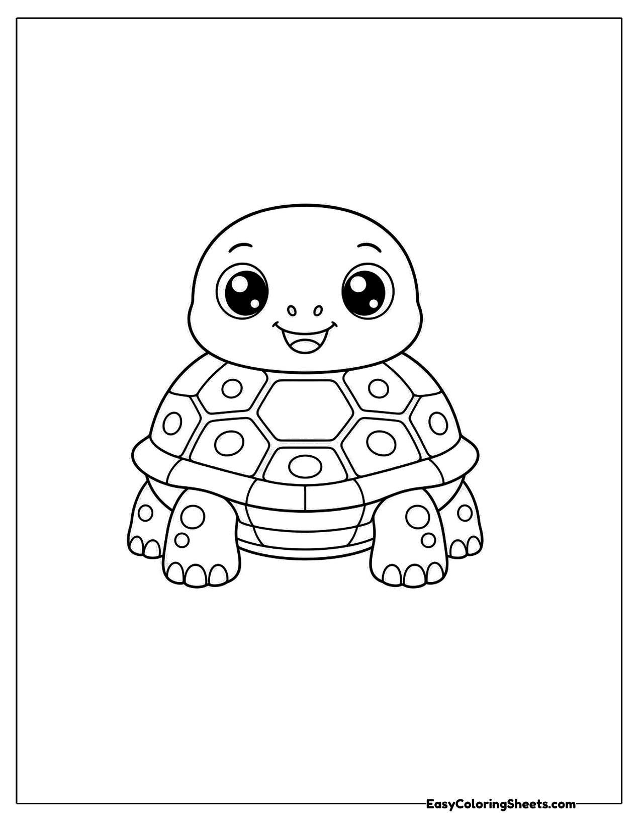 Turtle facing forward with its shell behind