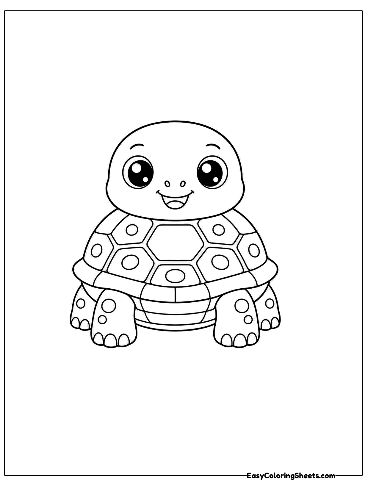A turtle faces the viewer with its head poking out and its patterned shell rising behind like a dome.