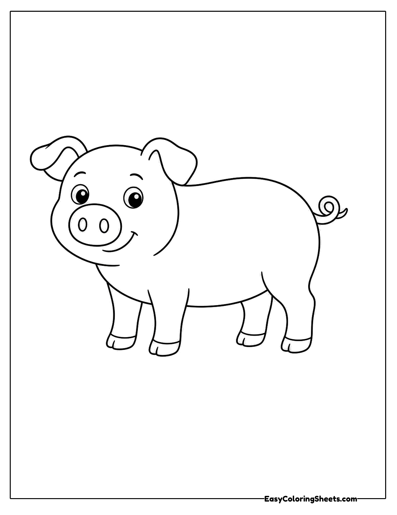 Cute pig standing with a curly tail