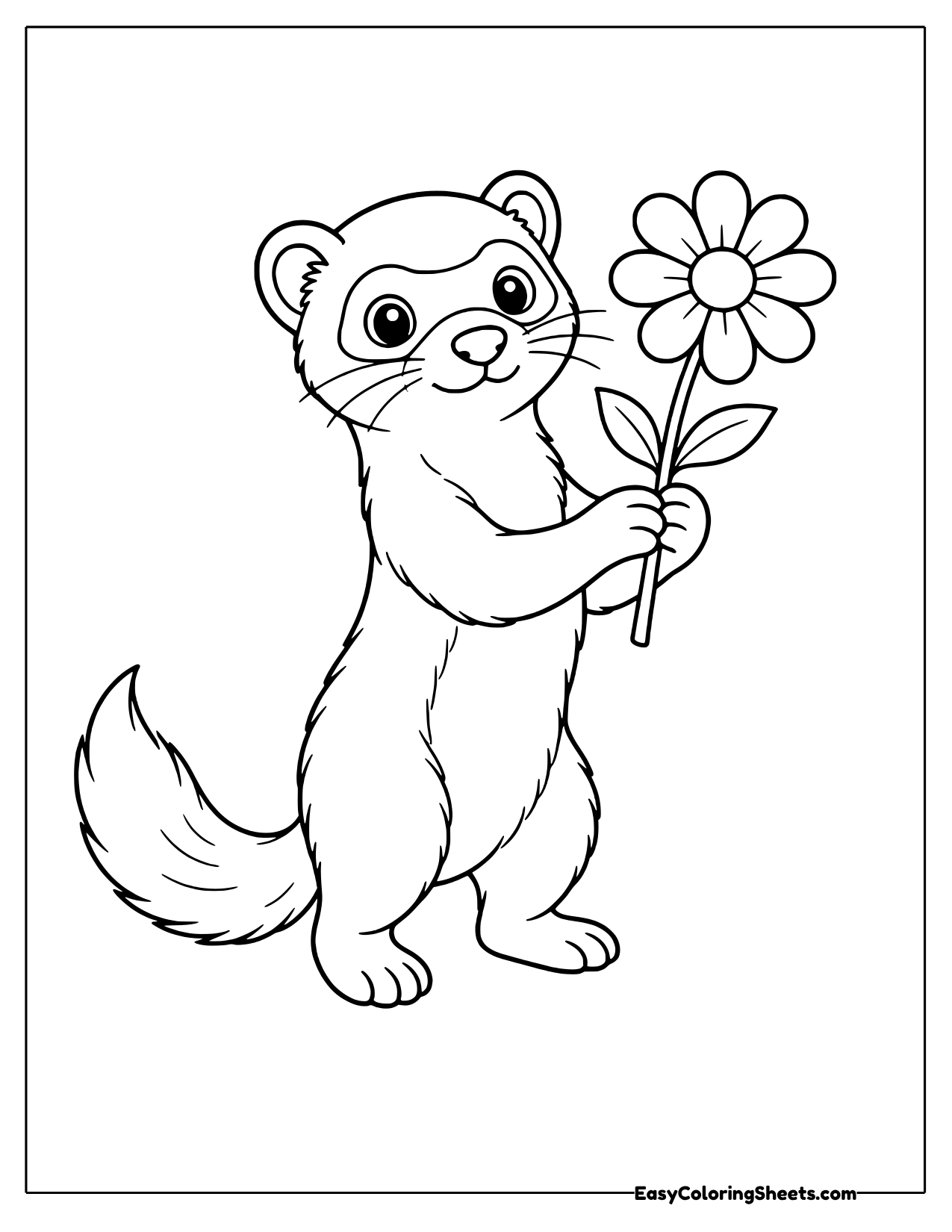 Ferret holding a daisy in its paw