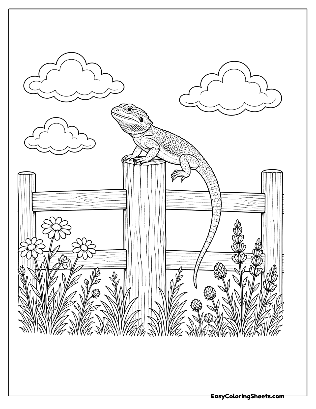 Bearded dragon sitting on a fence post