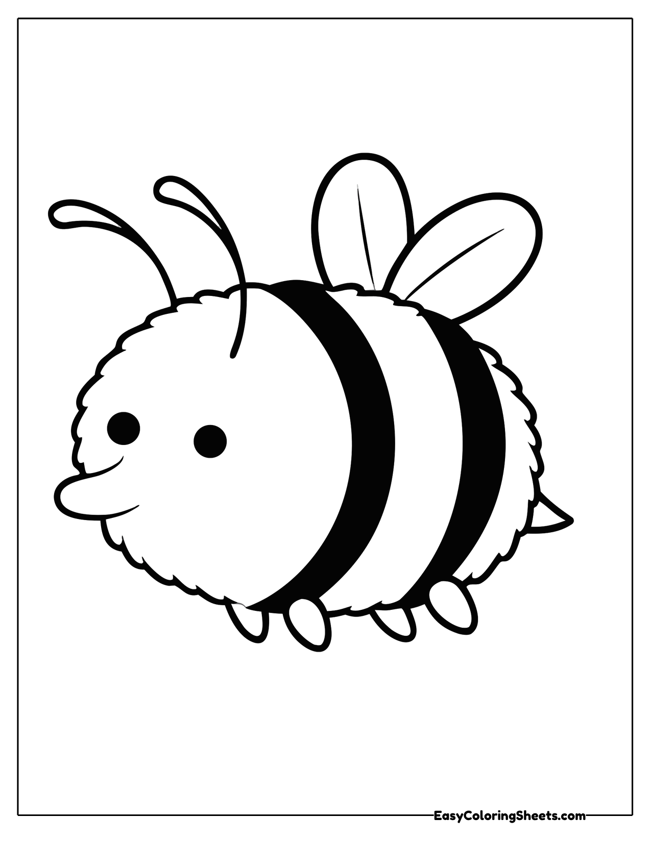 Round bumblebee with wide stripes