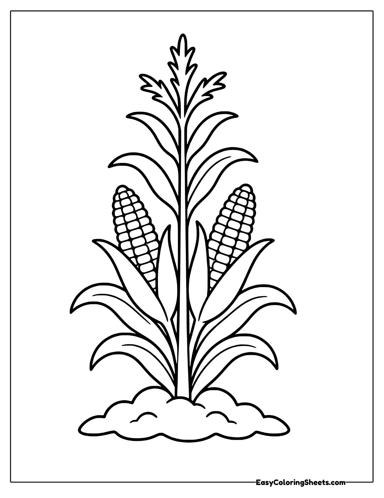 Tall corn stalk with an ear