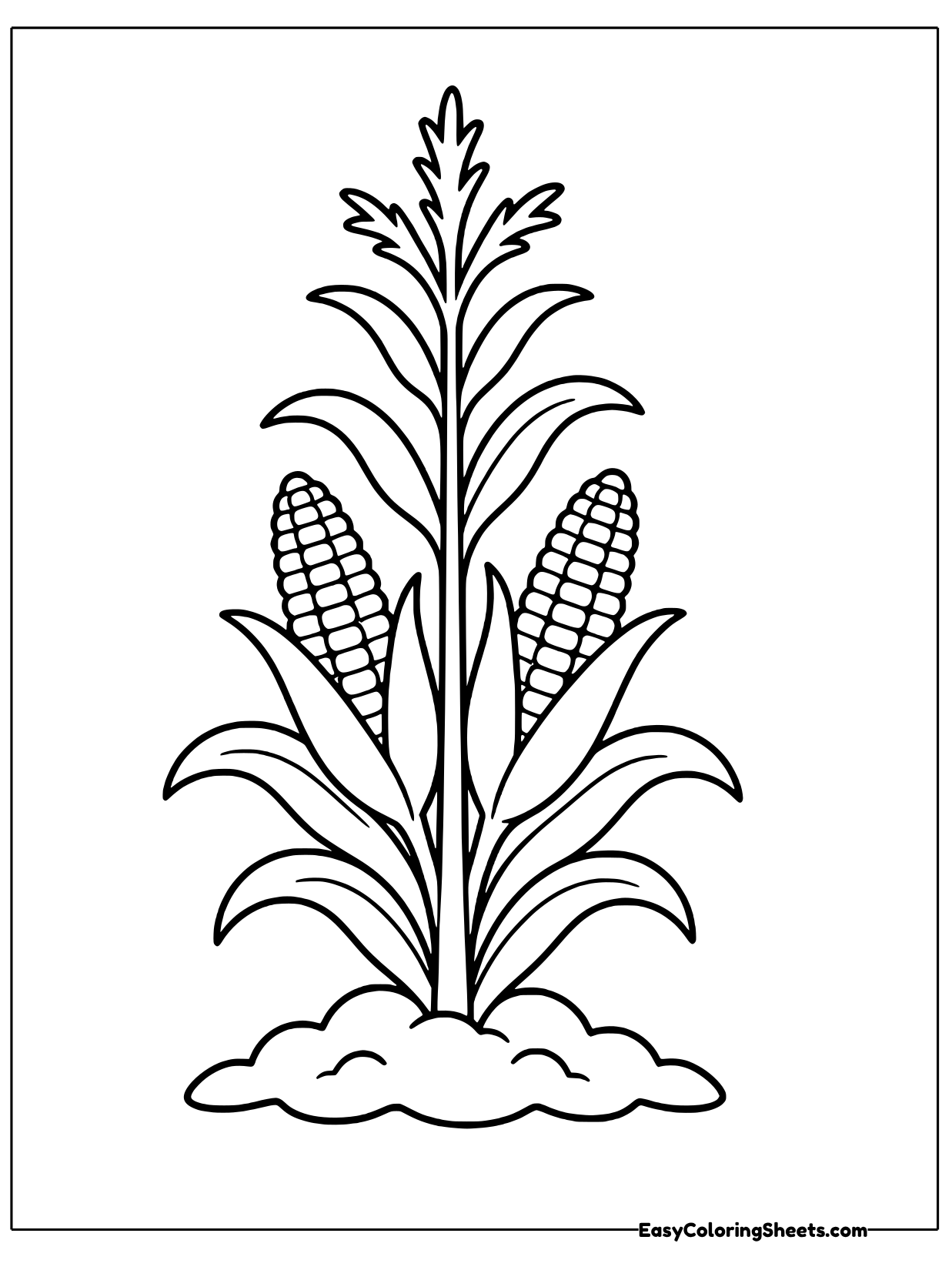 A tall corn stalk with long narrow leaves rises up the page with an ear of corn growing on one side.