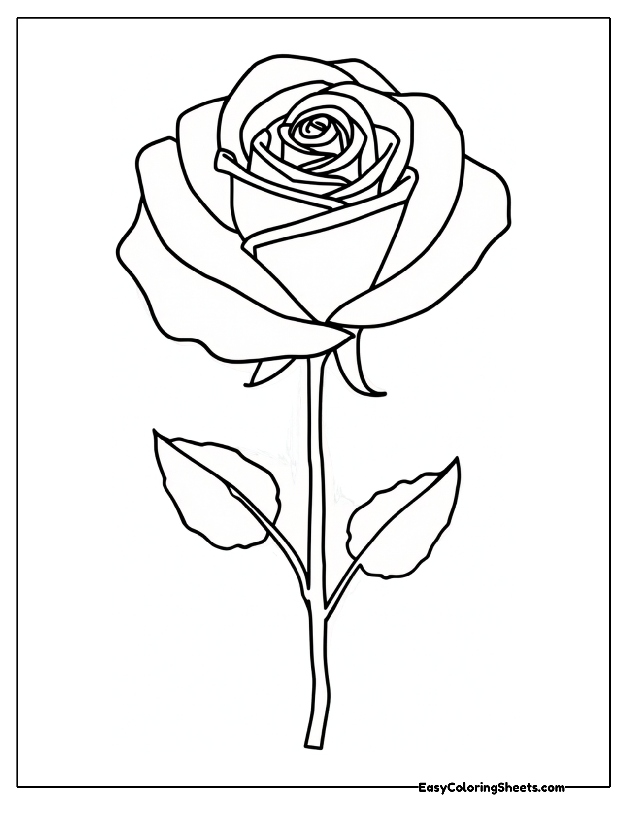 Long stemmed rose with a spiraled bloom