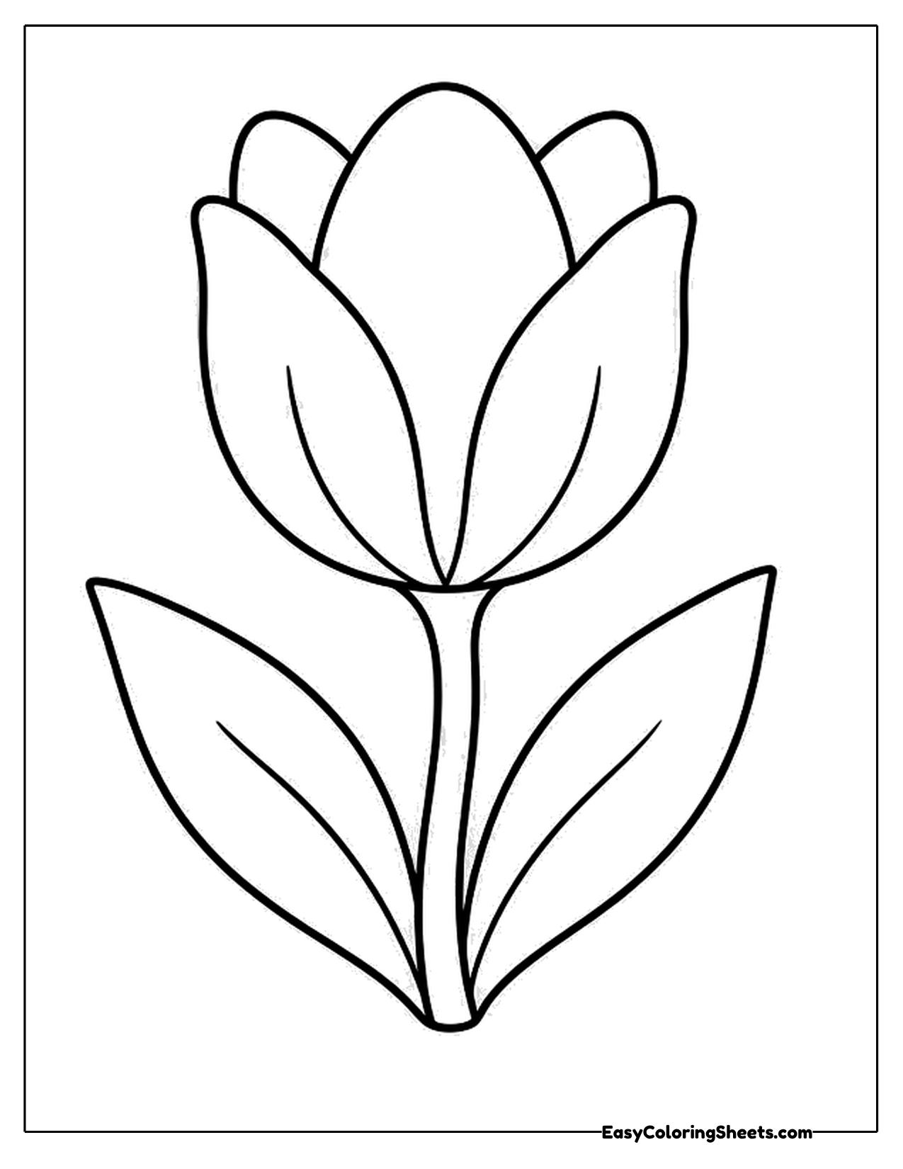 Simple tulip with layered petals