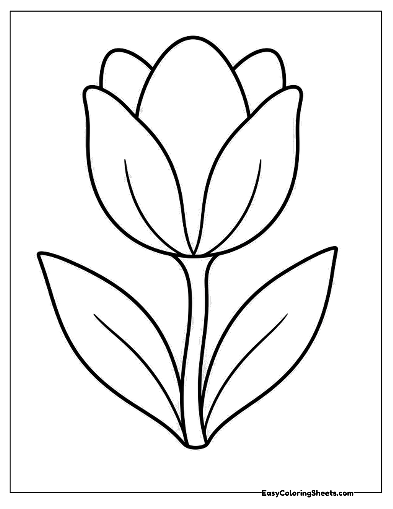 Simple tulip with layered petals