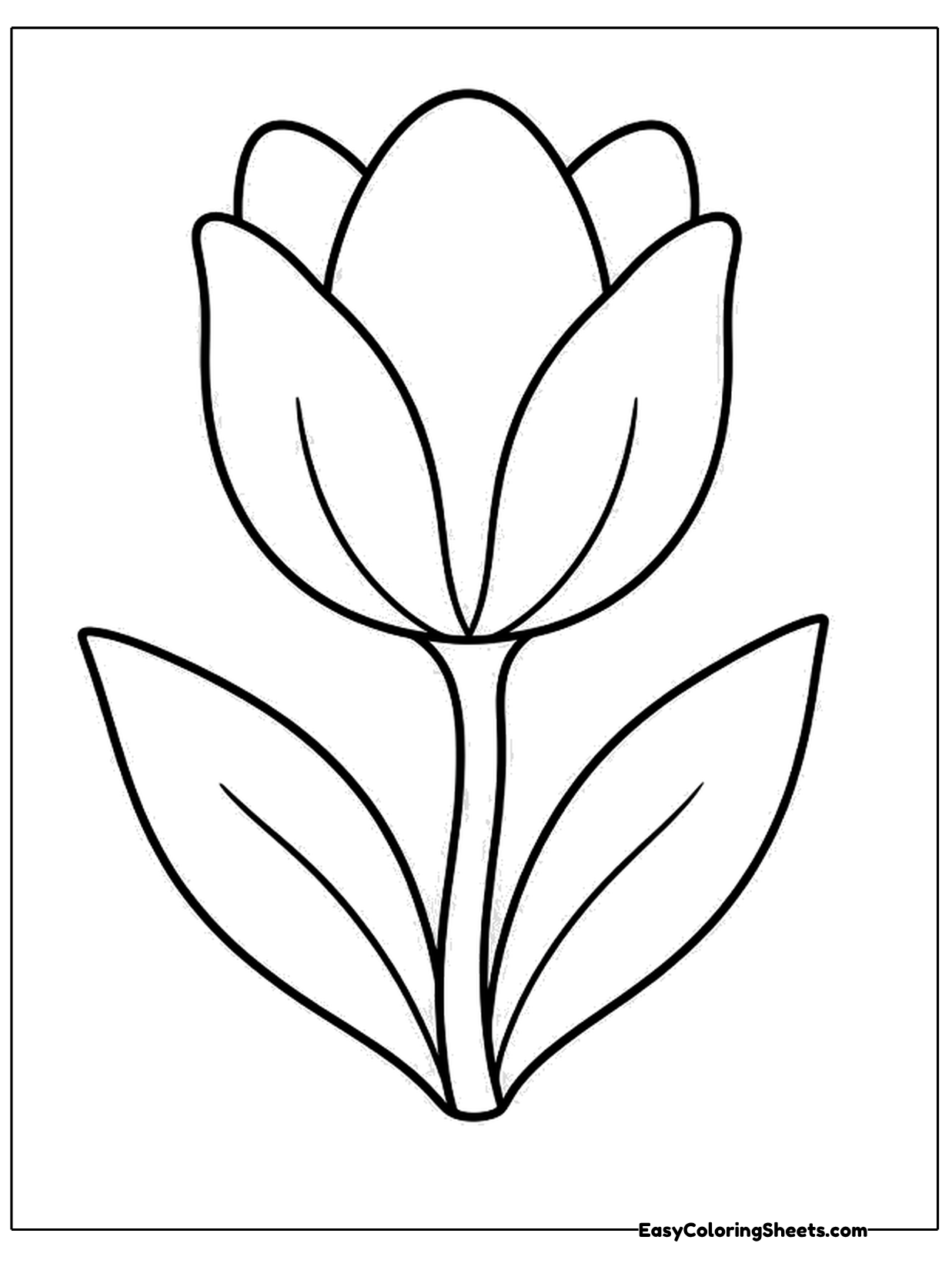 A single tulip with cupped, layered petals stands on a curved stem with two long leaves.
