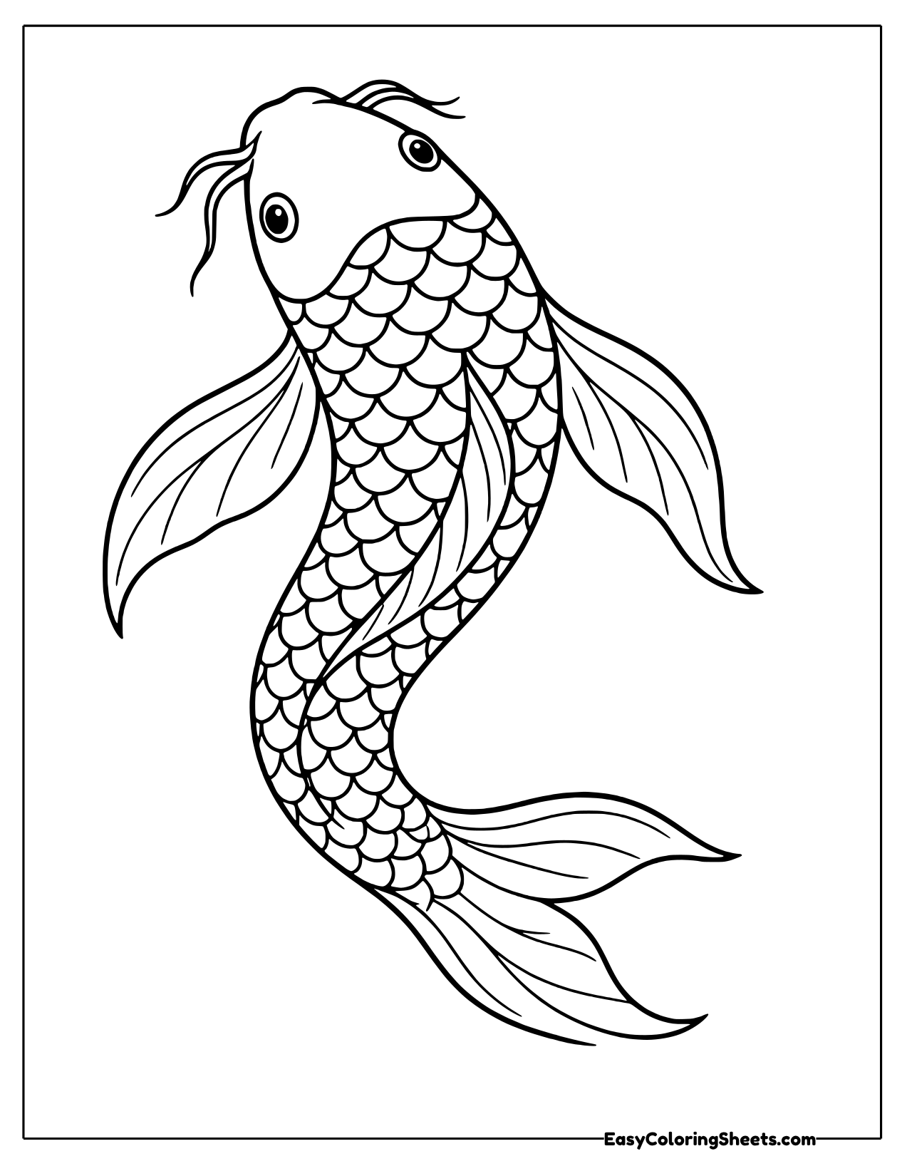 Koi fish with long flowing fins curving down the page