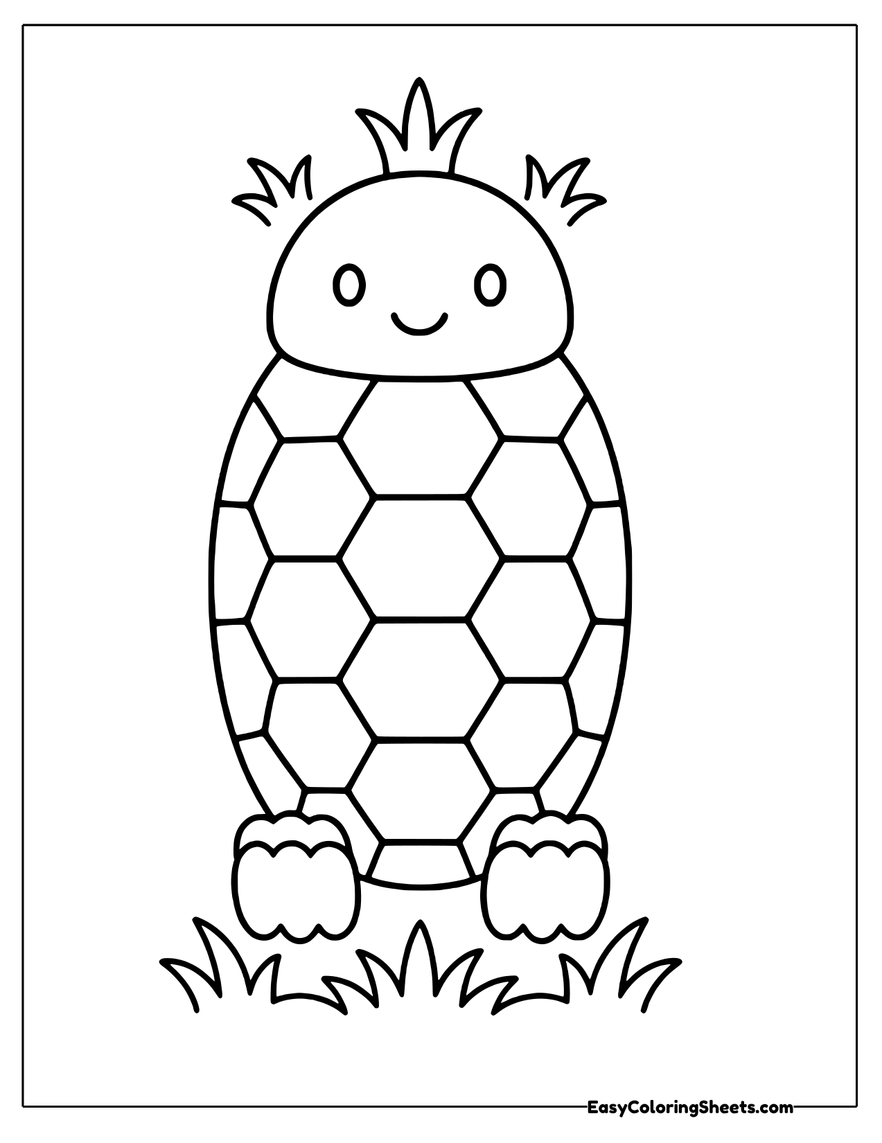Turtle shell seen from the front with a leafy top