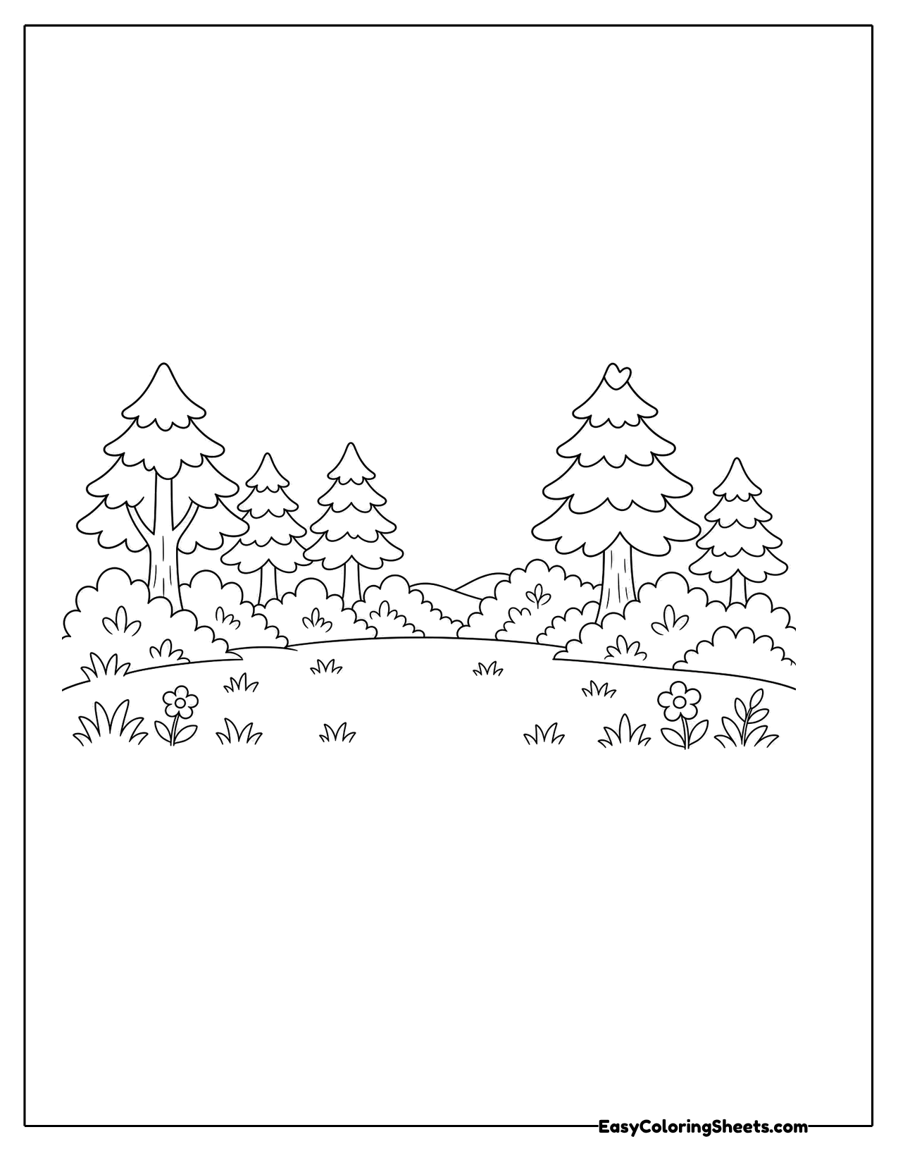 Wide meadow lined with rows of pine trees and grass