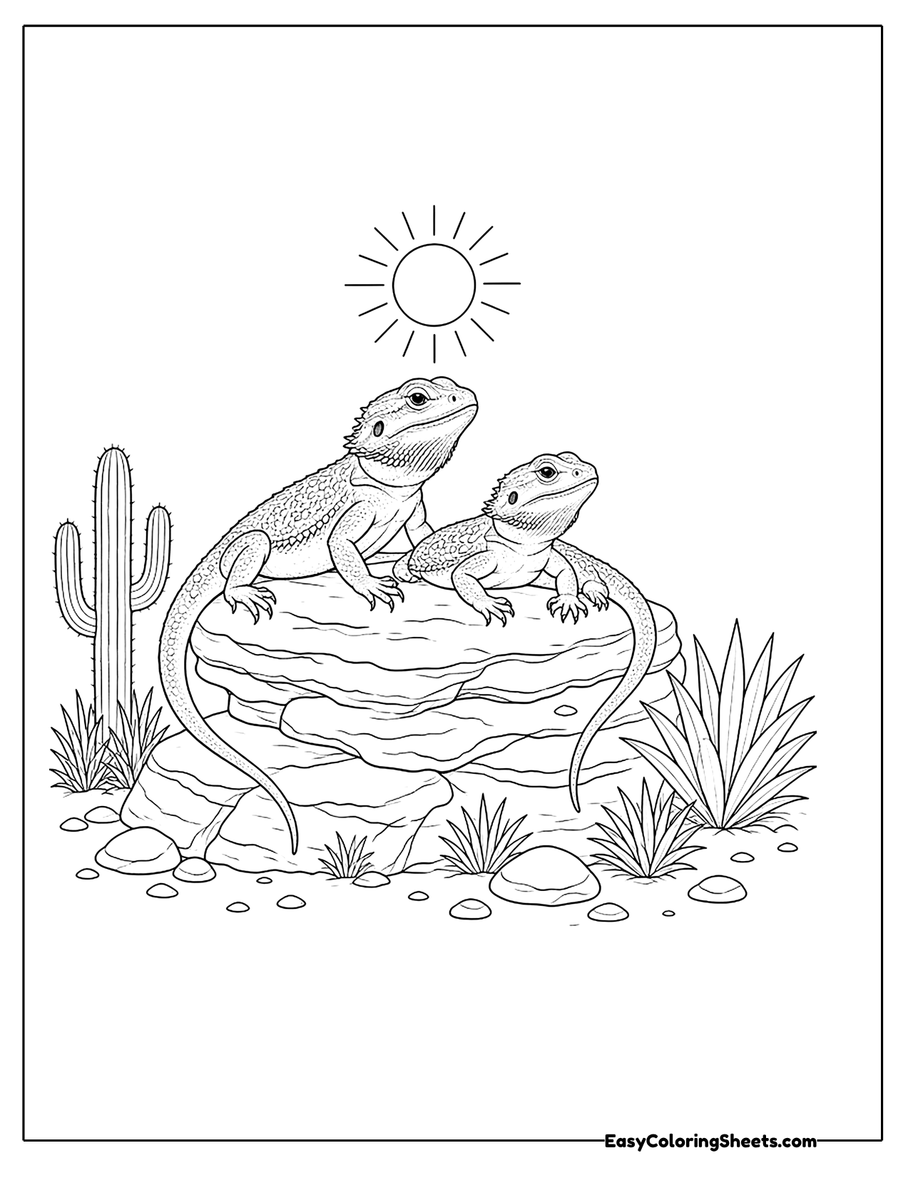 Two bearded dragons on a rock