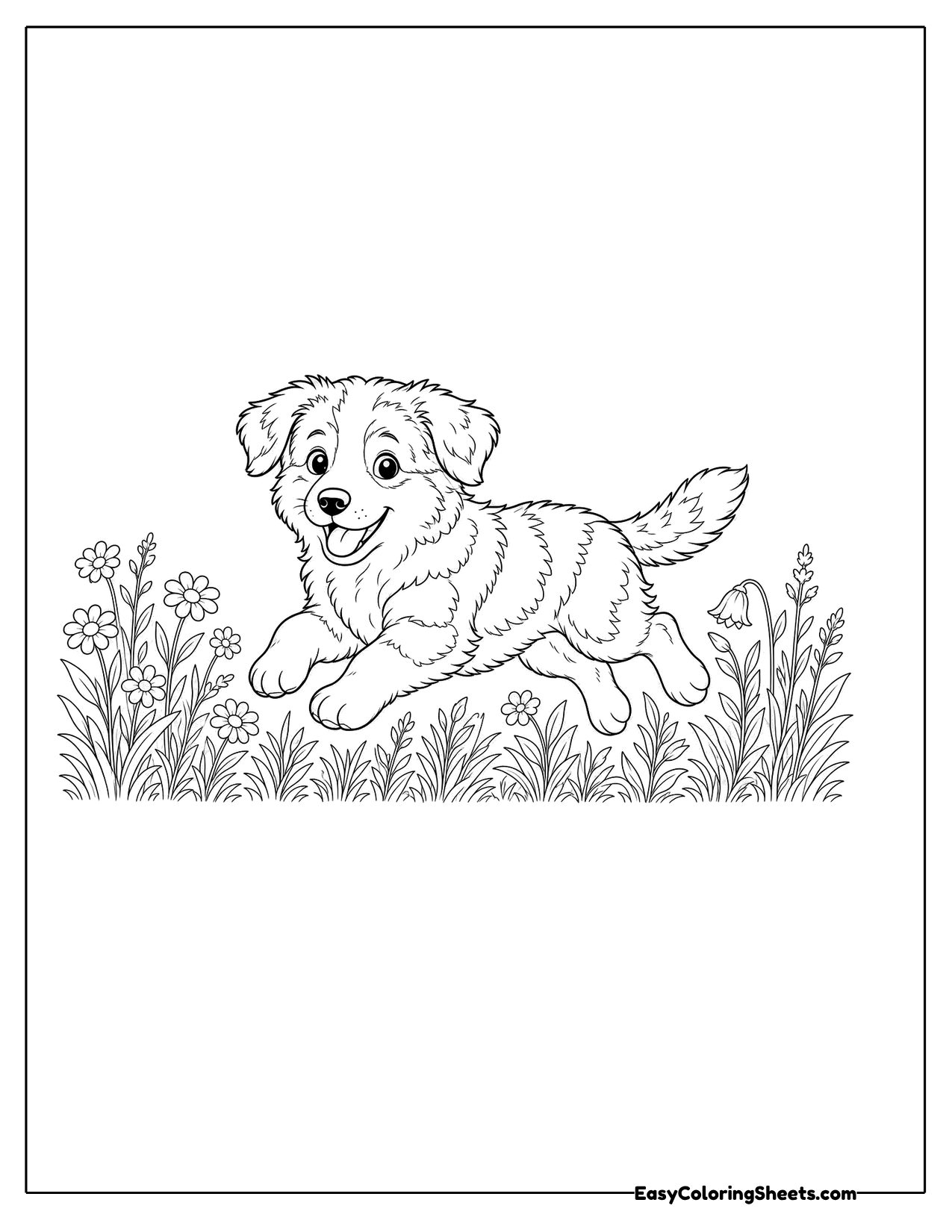 Australian shepherd puppy bounding through a meadow