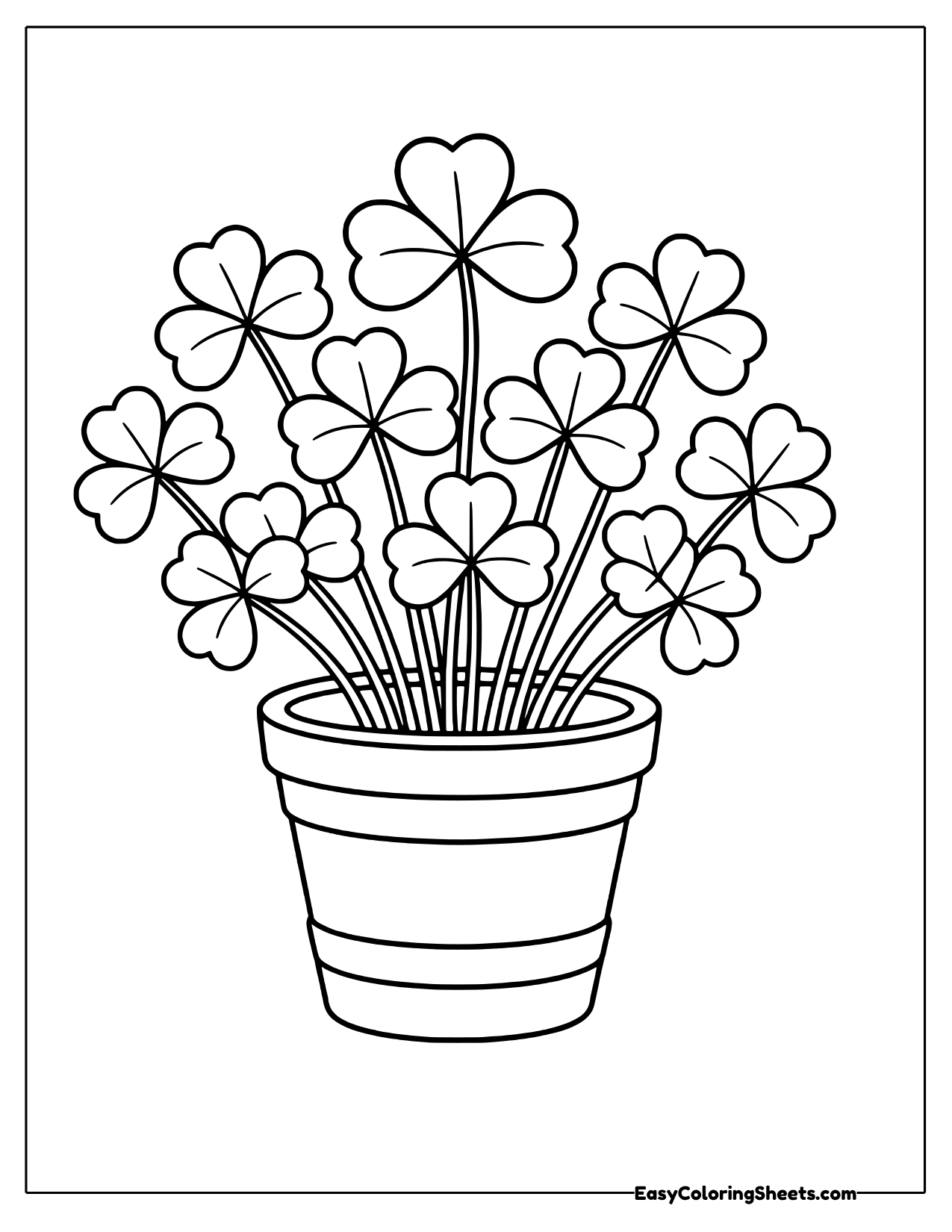 Potted shamrock plant with many clover leaves above a banded flower pot