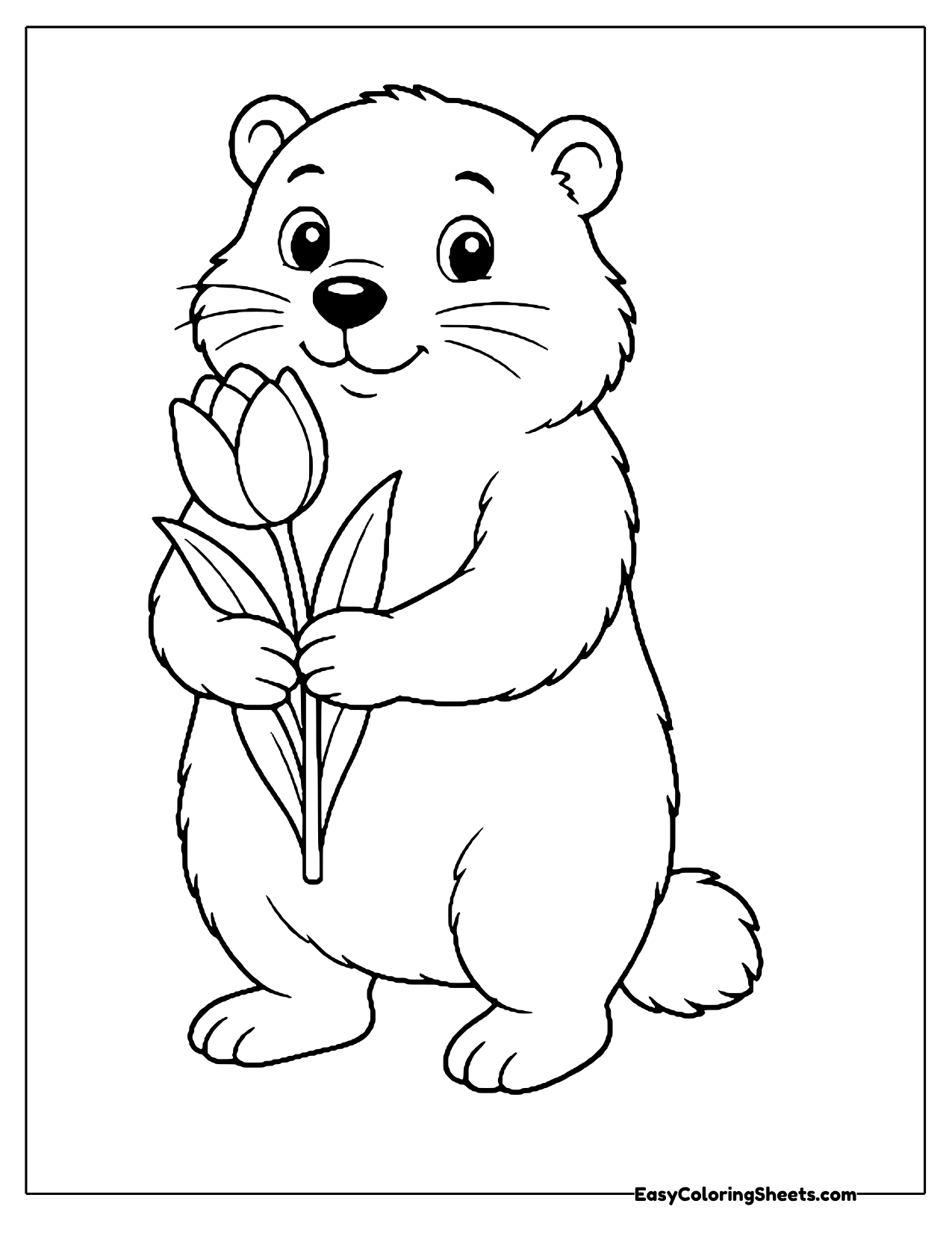 Smiling groundhog standing upright and holding a single tulip