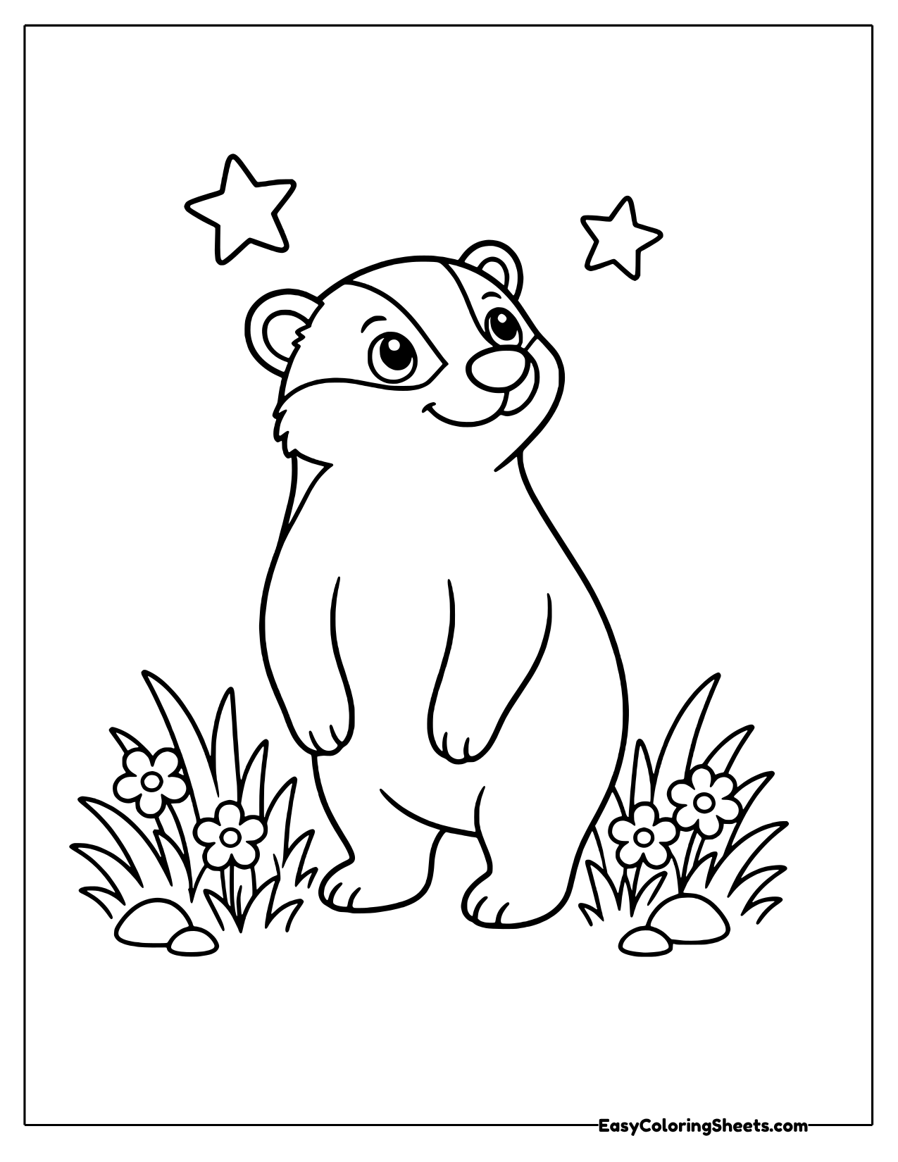 Badger looking up at the stars