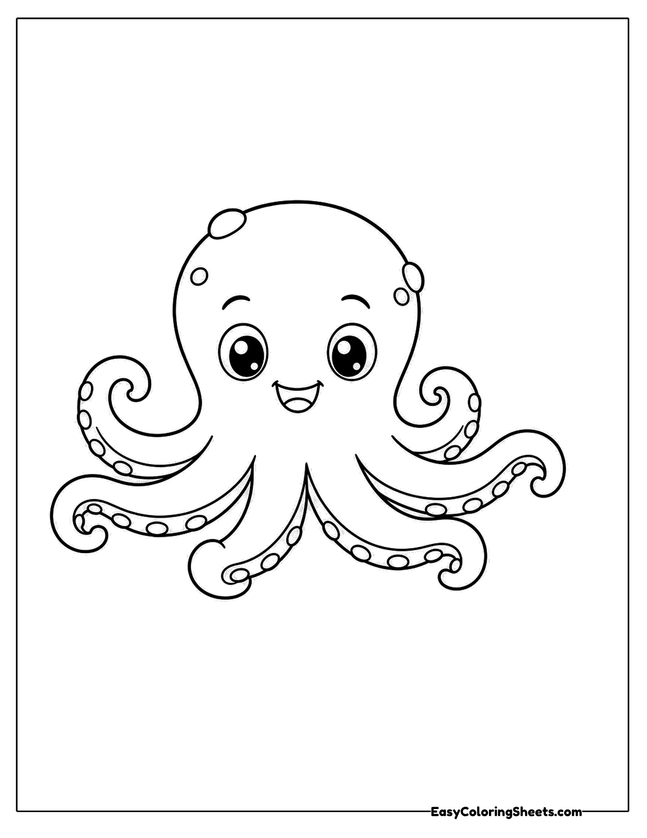 Baby octopus with curly arms