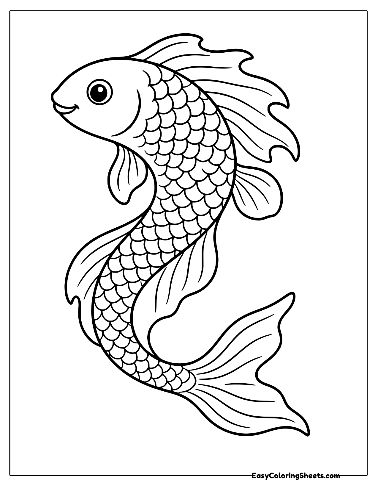 Koi swimming in an S curve with ruffled tail