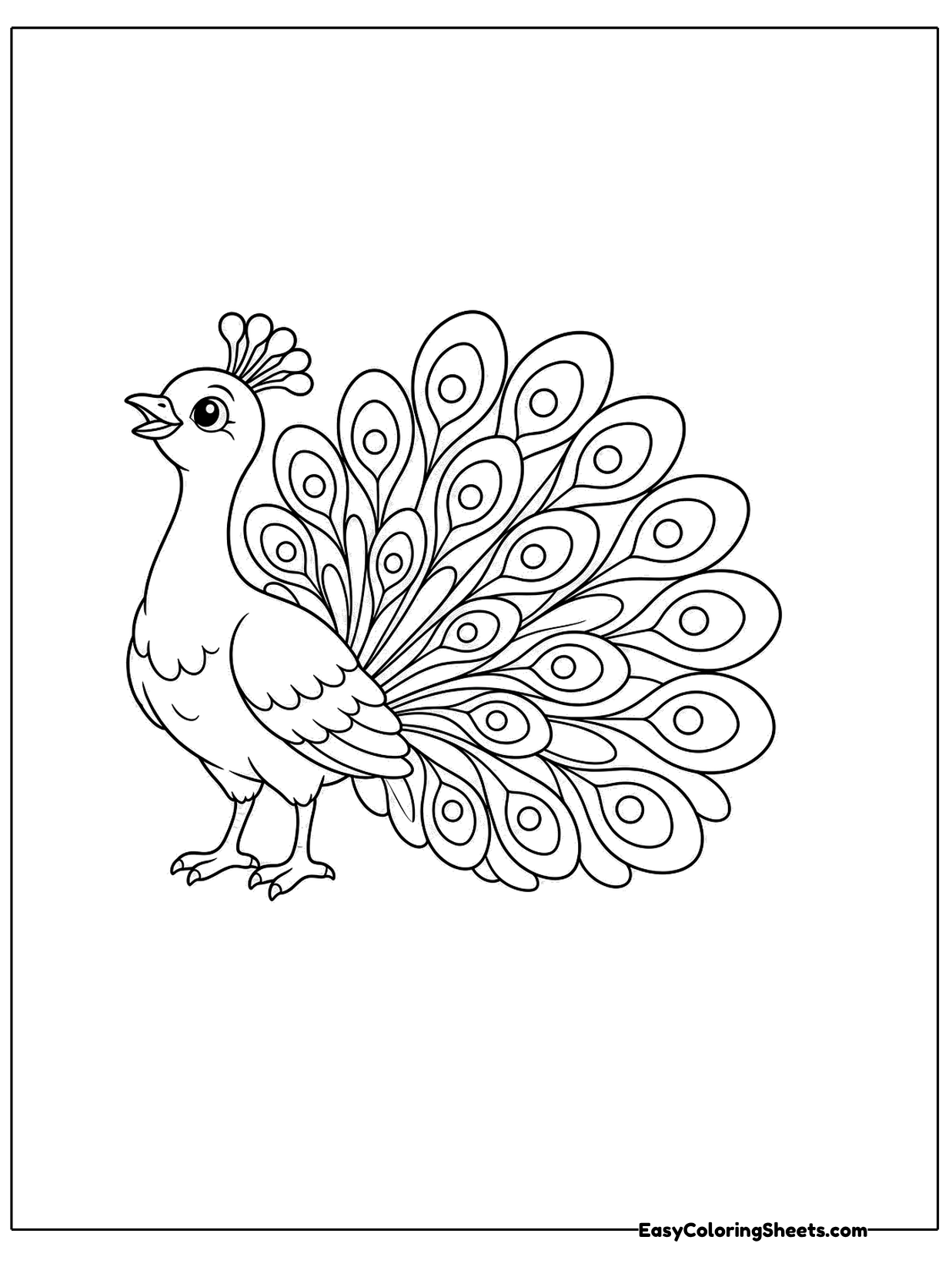 A peacock stands with its beak open as if calling, with its patterned tail fanned behind it.