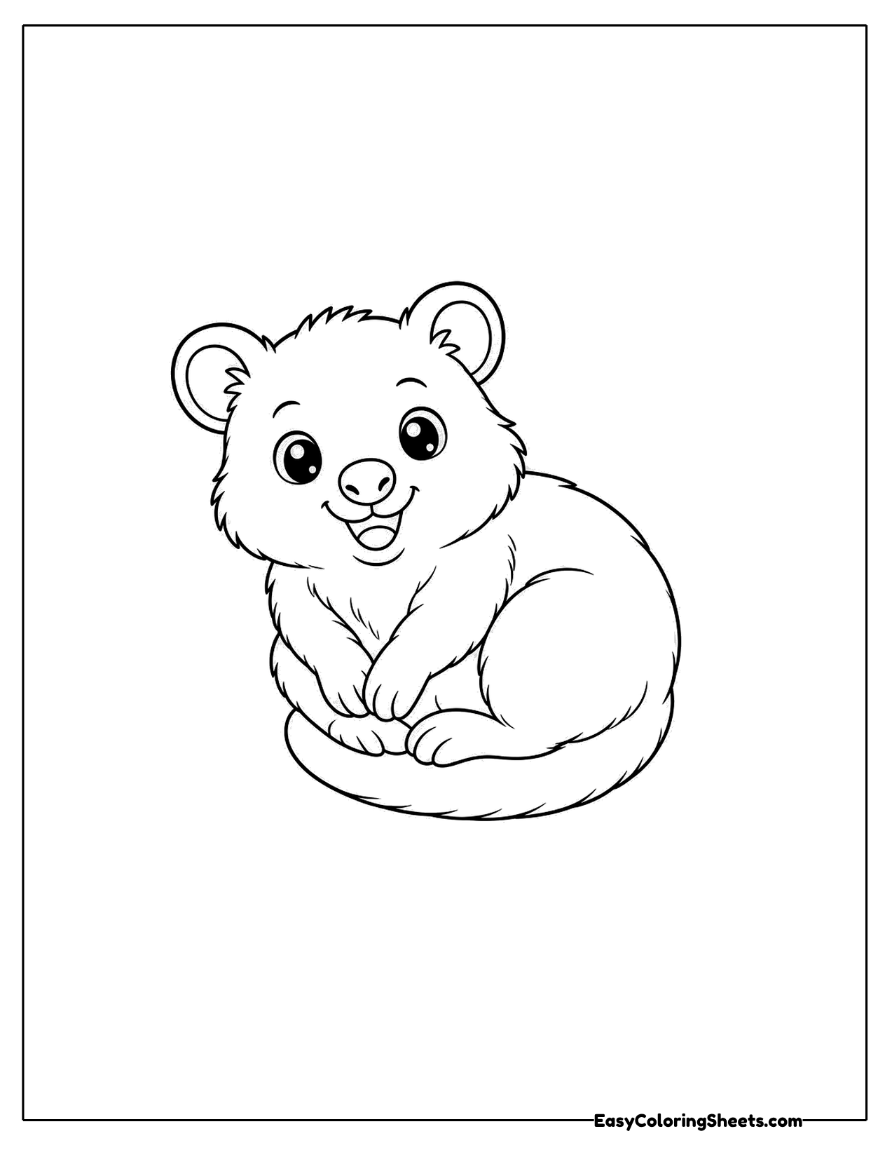 Quokka curled up resting