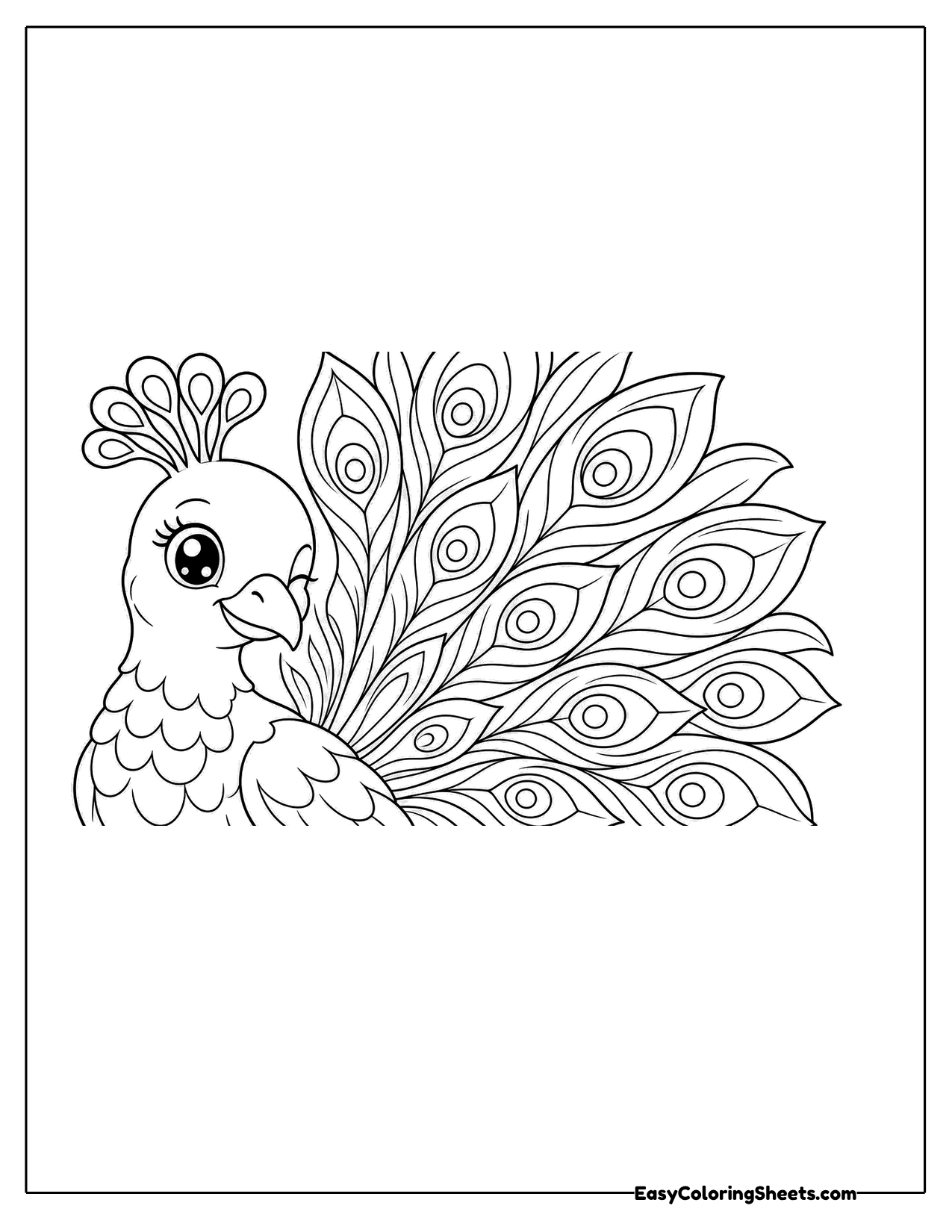 Peacock portrait close up with crest