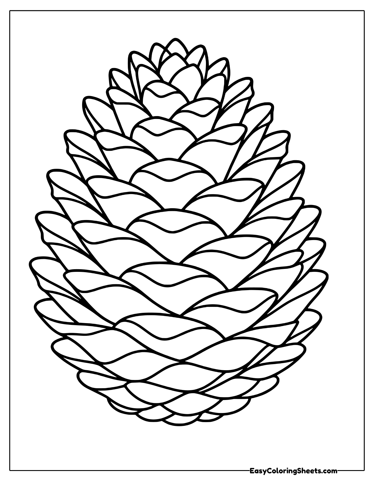 Open pinecone with spiral scales