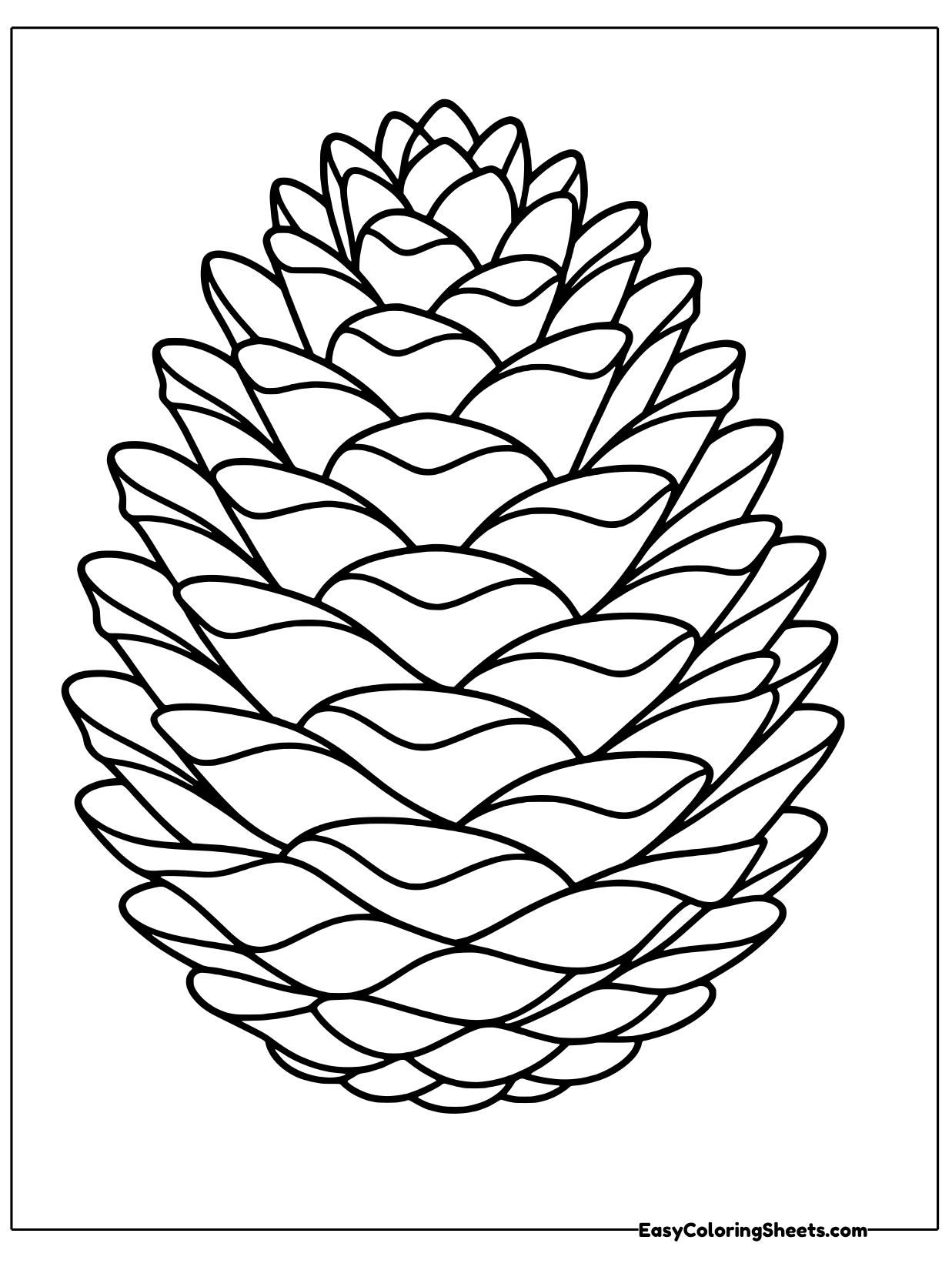 An open pinecone with scales spreading in a spiral fills the page.