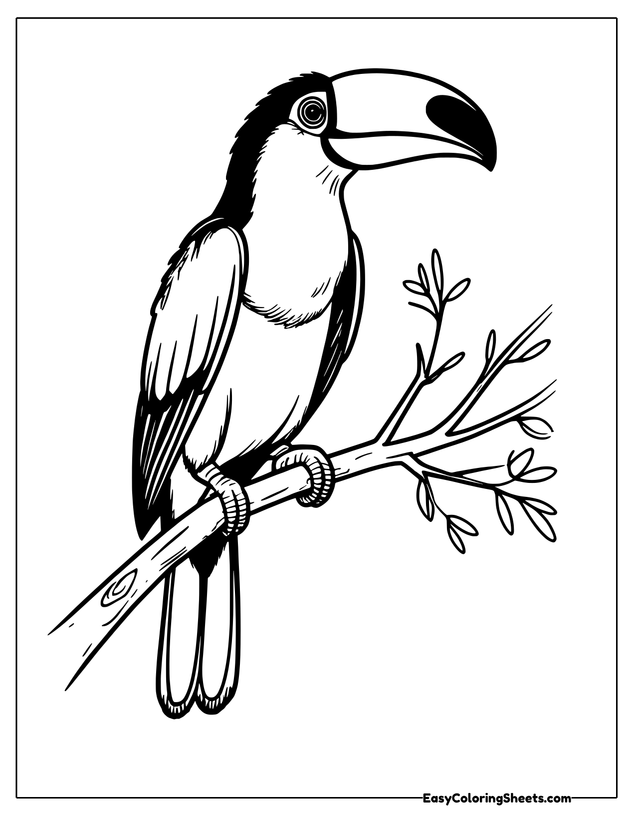 Toucan with a large curved beak sitting on a leafy branch