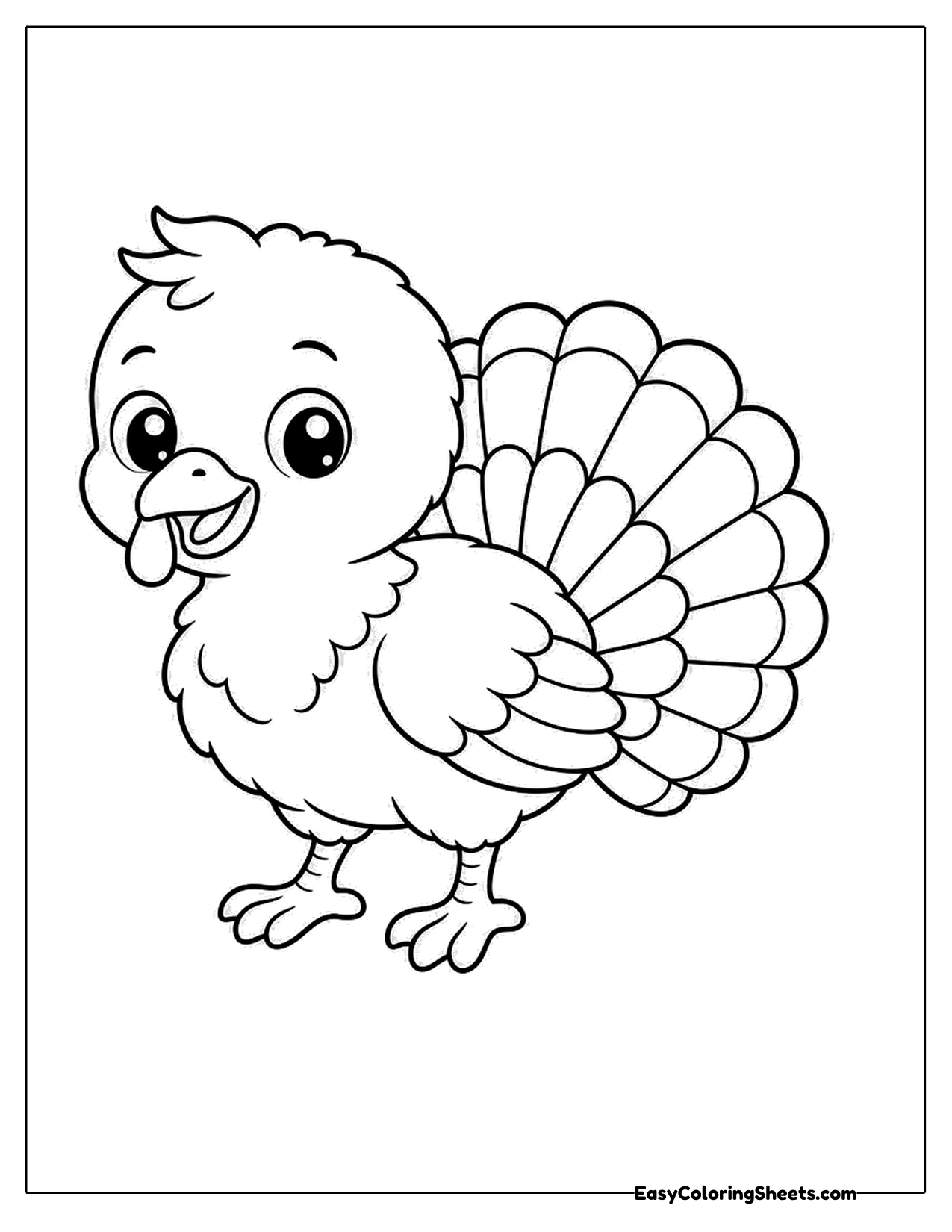 Baby turkey with big eyes and fanned tail