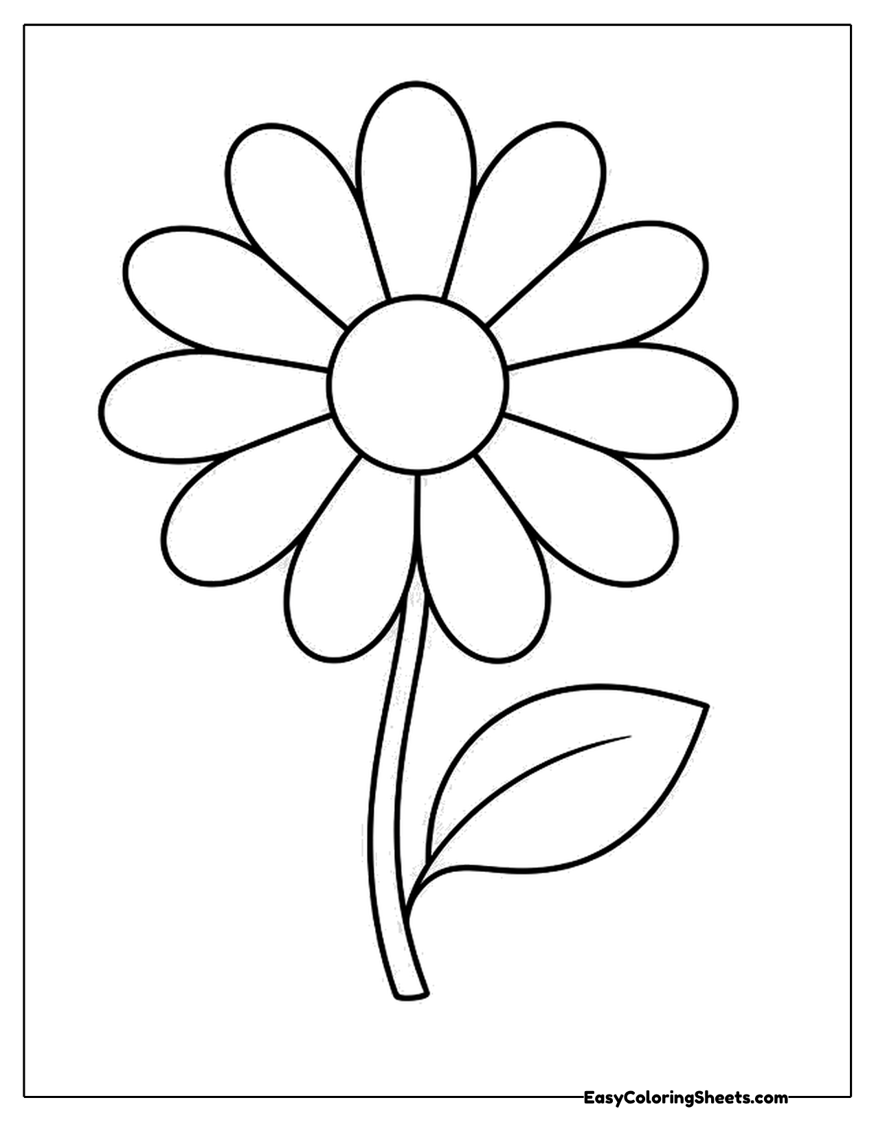 Cute daisy with a long stem