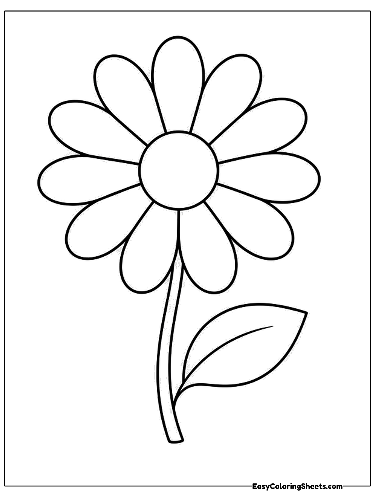 A simple daisy with wide petals around a round center grows on a tall stem with one leaf.