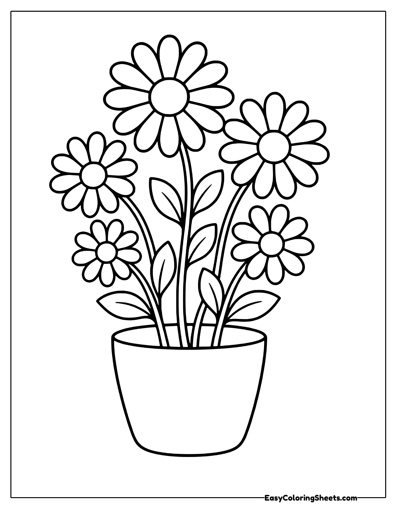 Cluster of daisies in a pot
